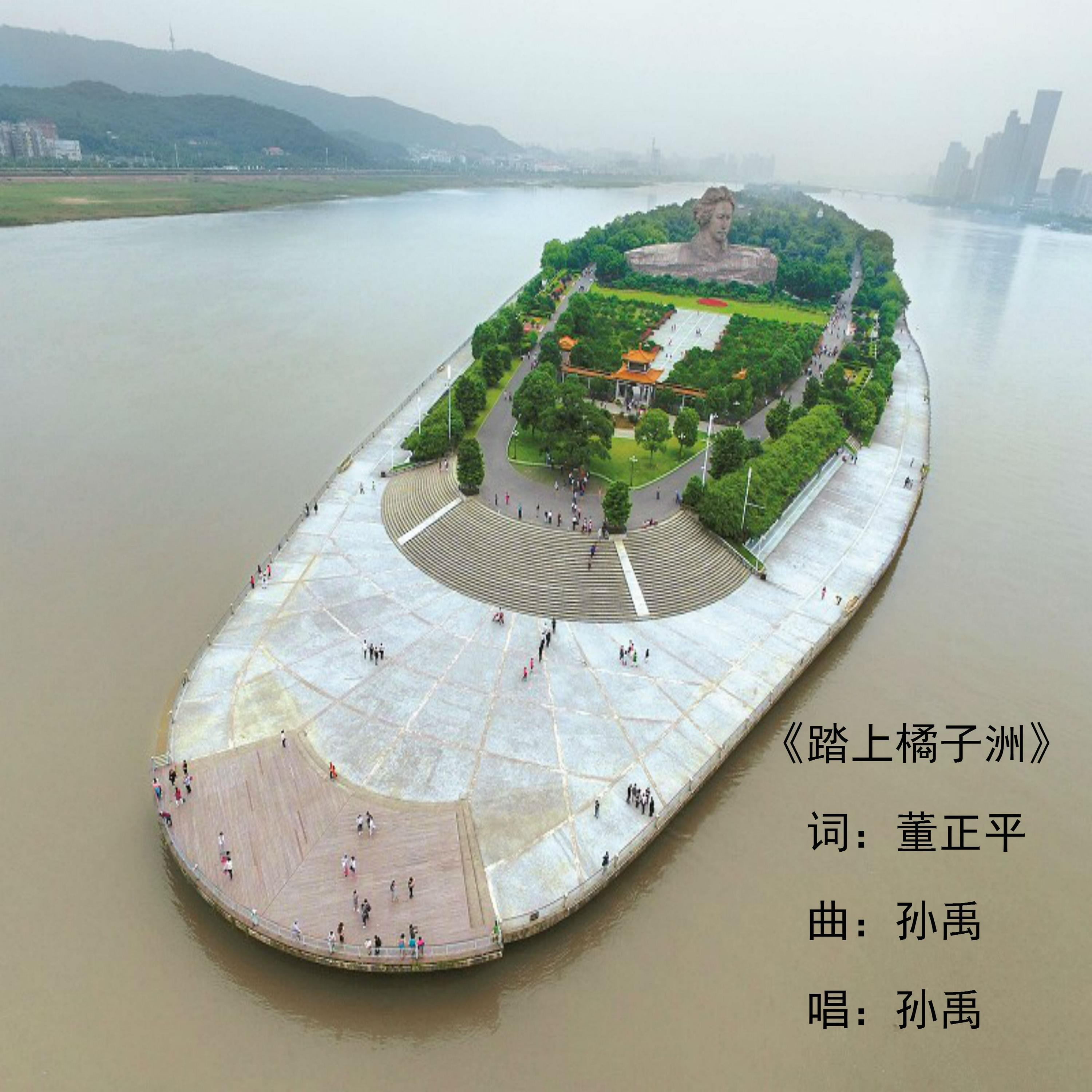 孙禹