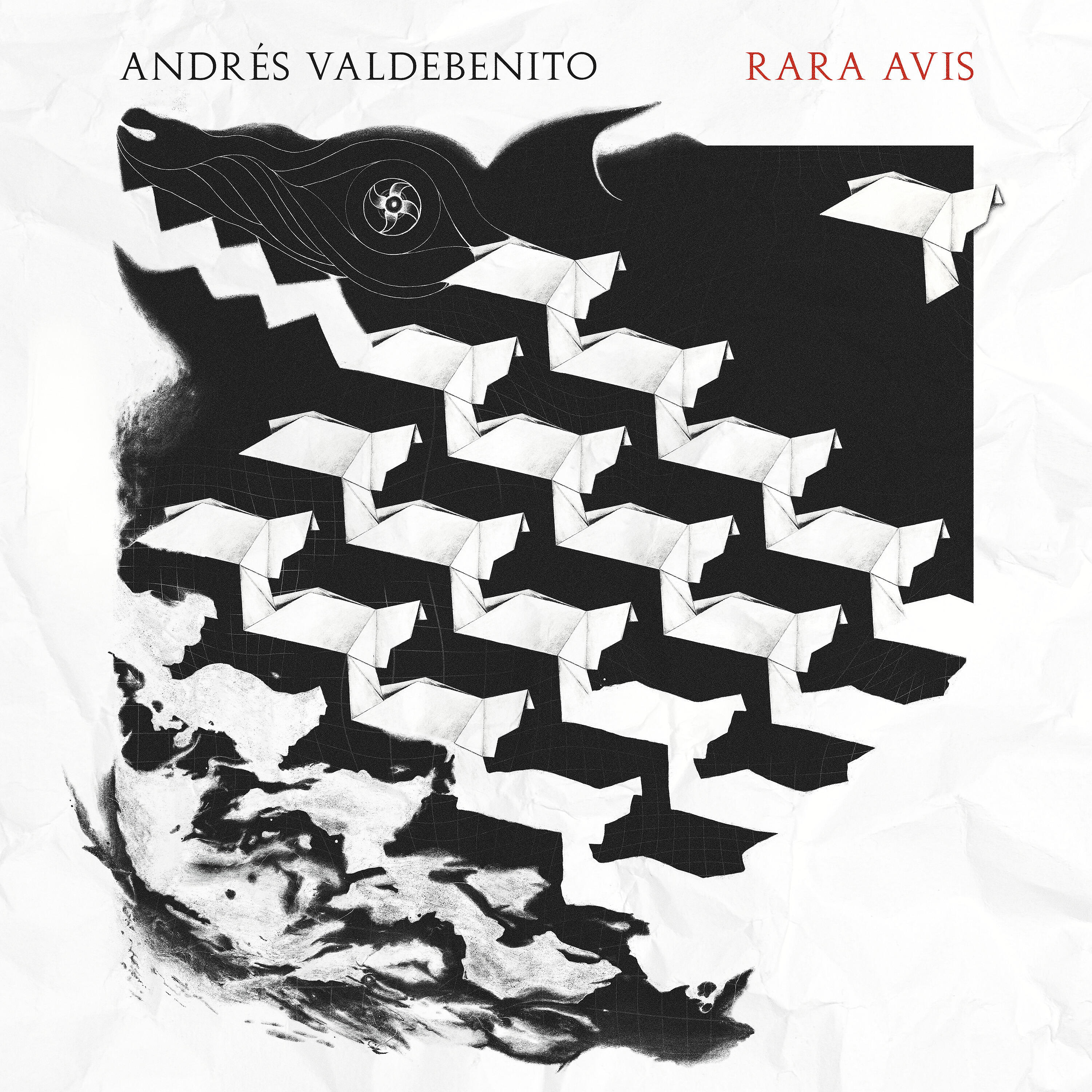 Релиз Rara Avis
