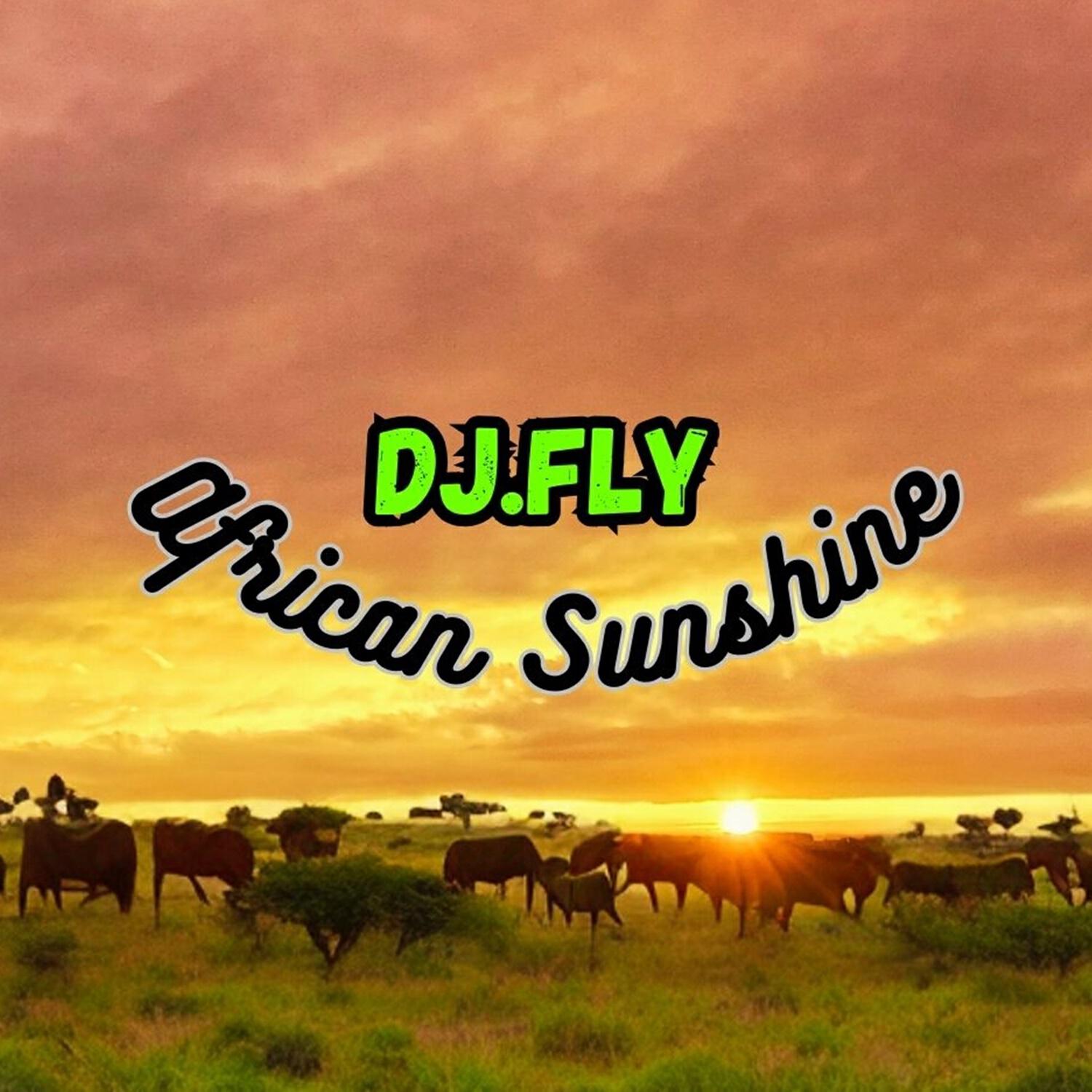 Релиз African Sunshine