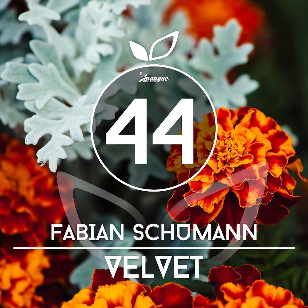 Релиз Velvet
