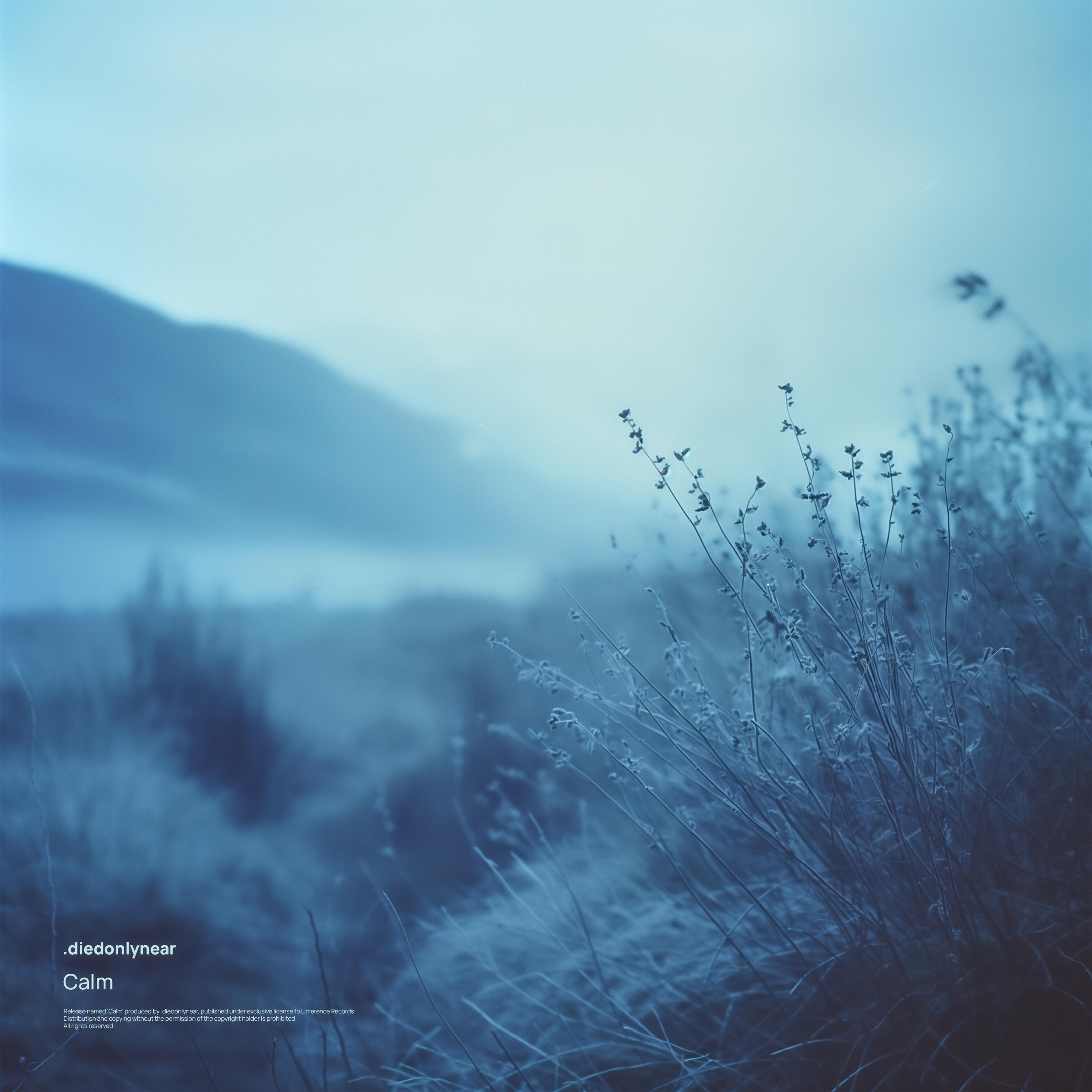 Релиз Calm