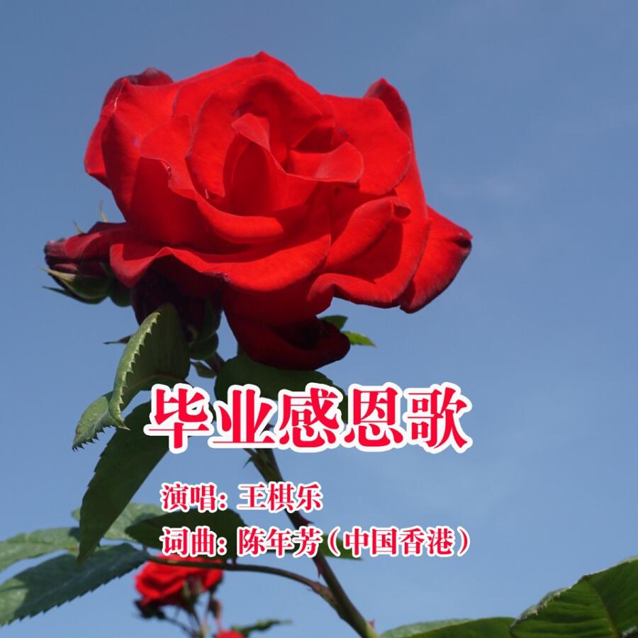 Волна по релизу