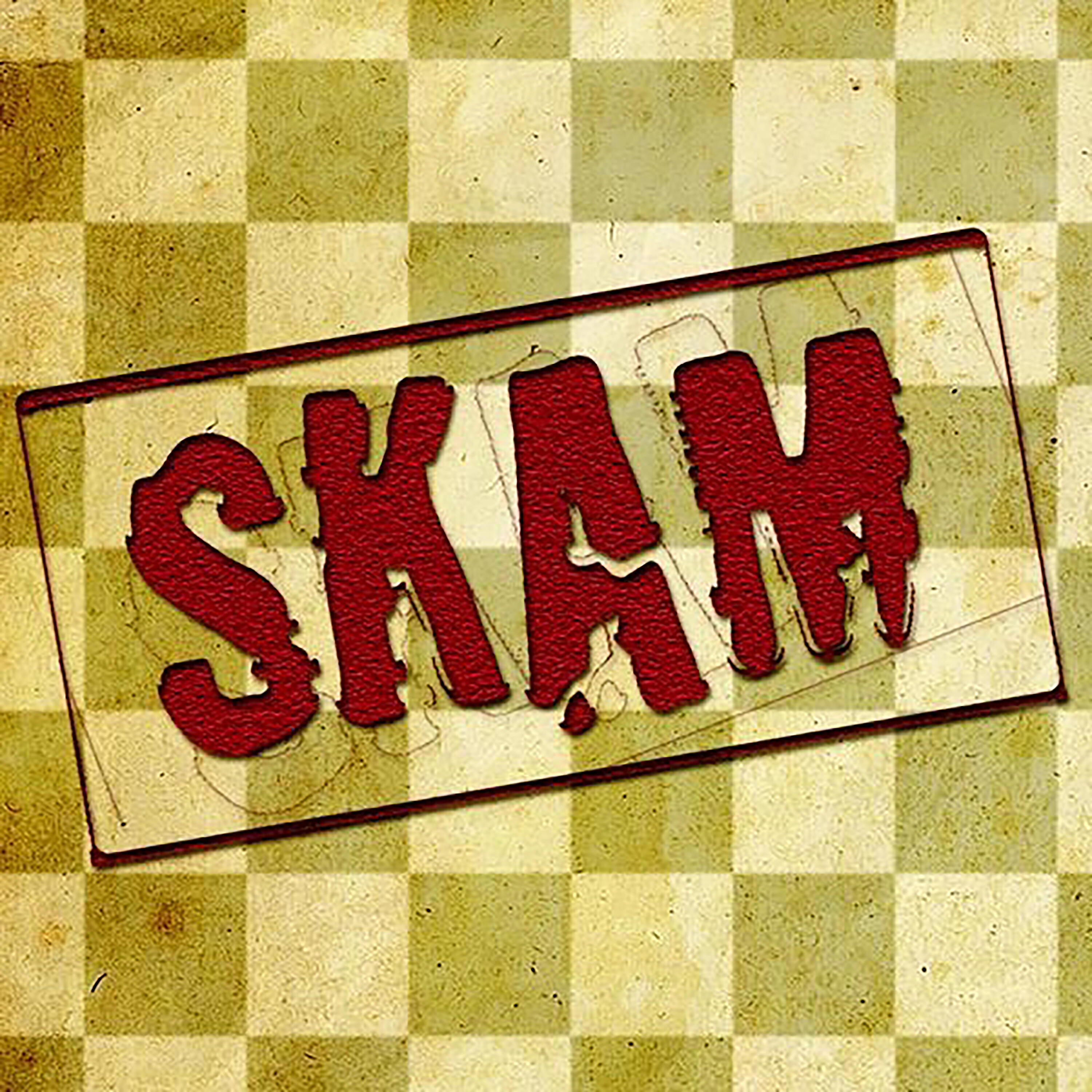 Релиз Skam