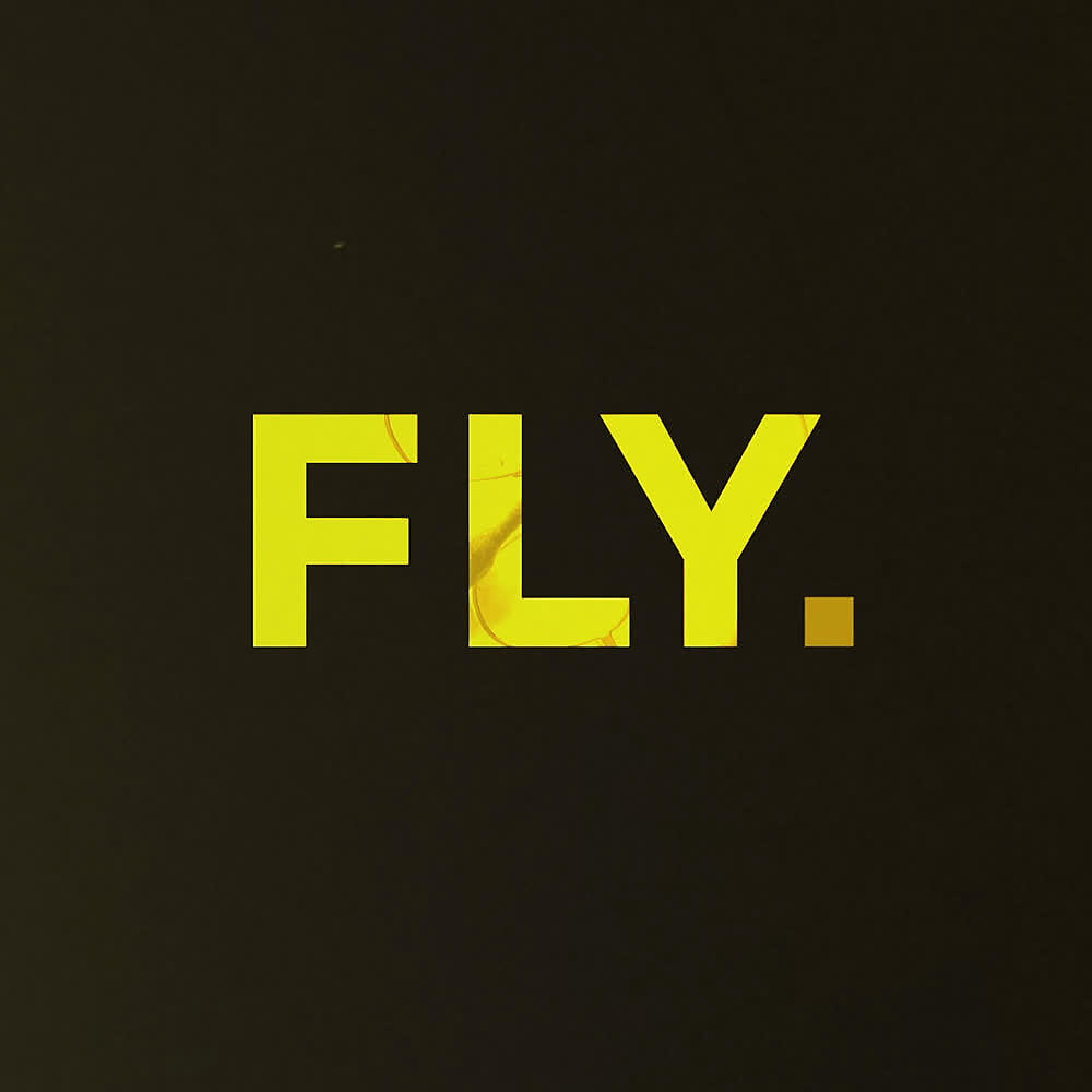 Релиз Fly