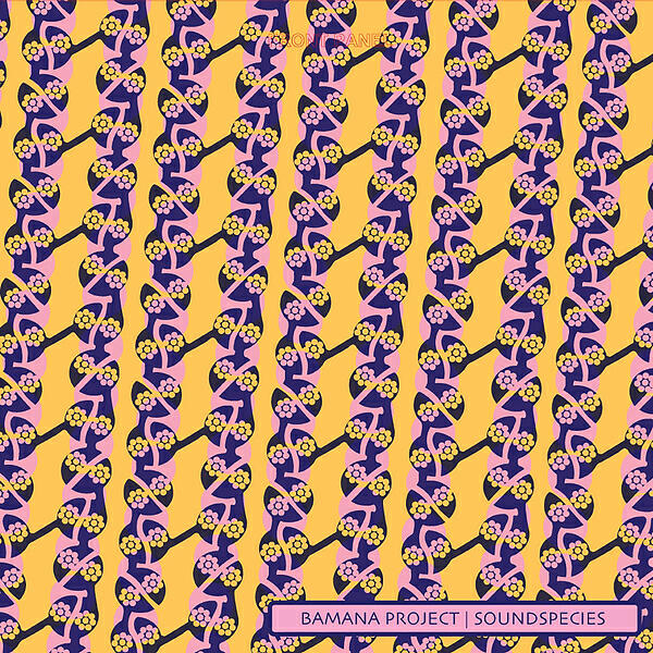 Релиз Bamana Project