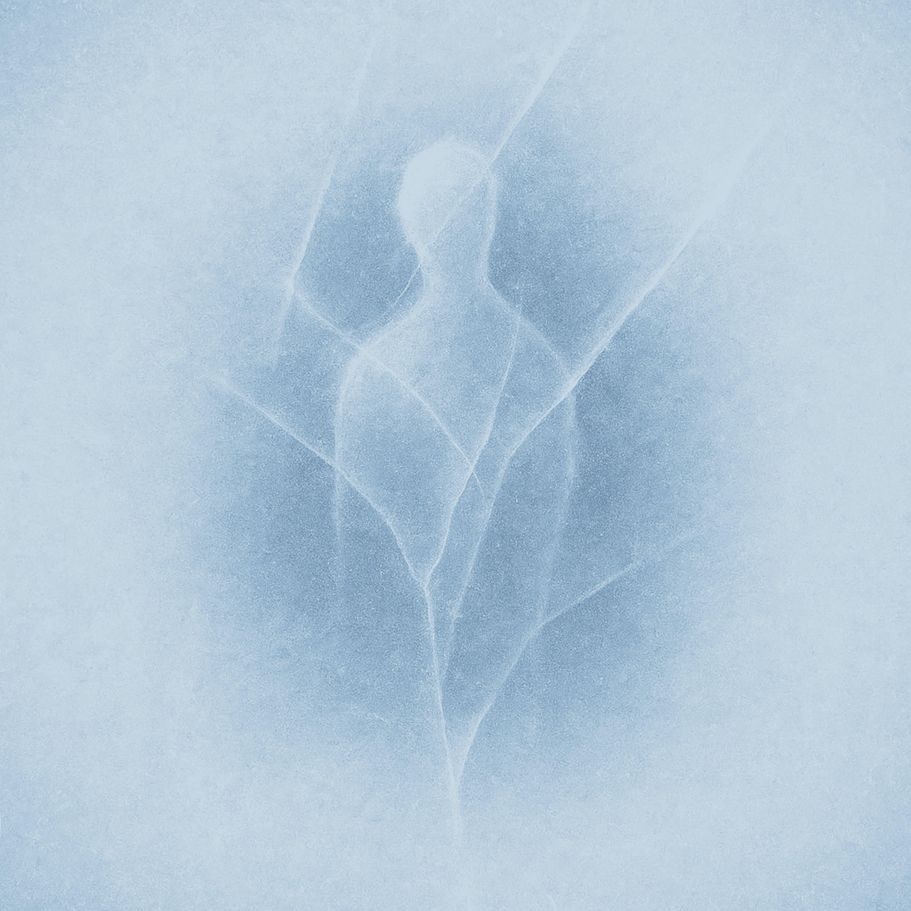 Релиз Cold's embrace