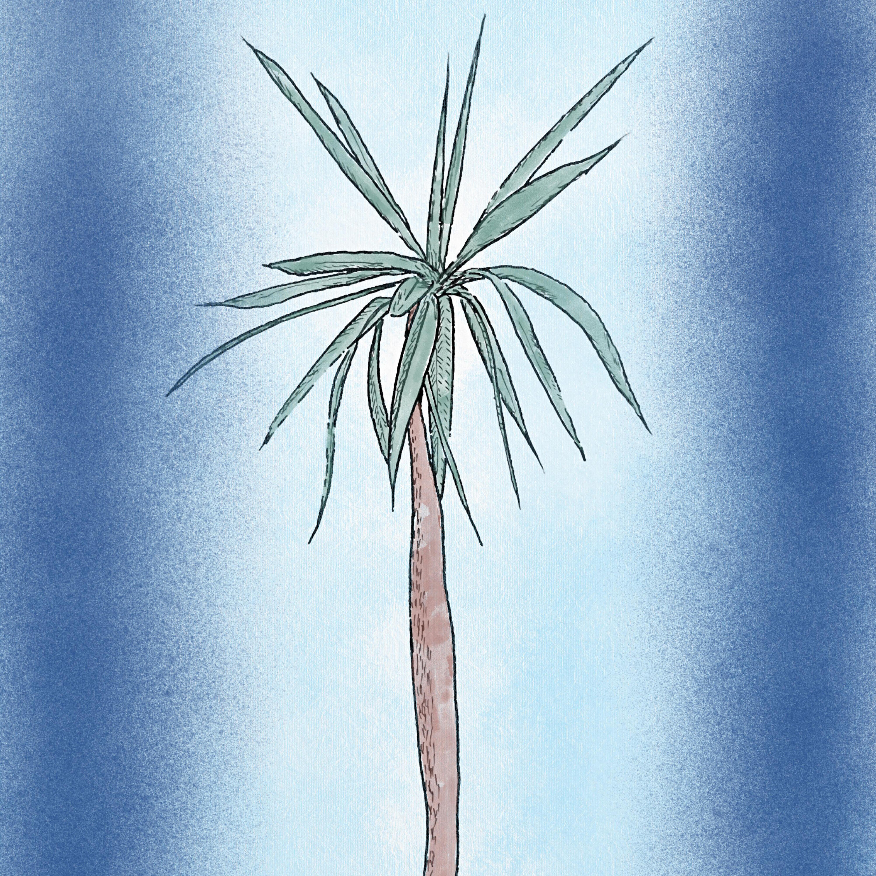 Релиз Lueur Calme.
