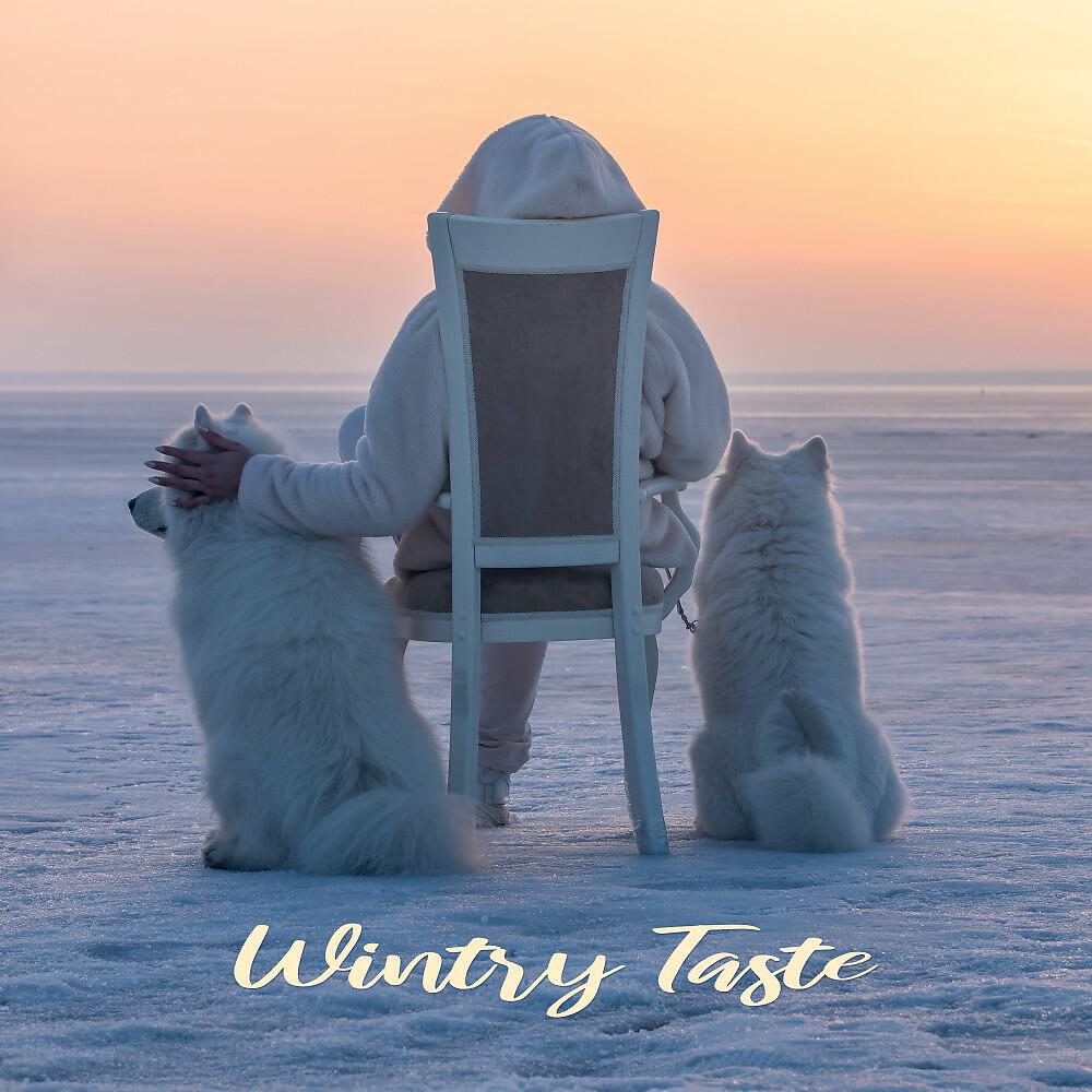 Релиз Wintry Taste (Chilling Lounge Tunes)