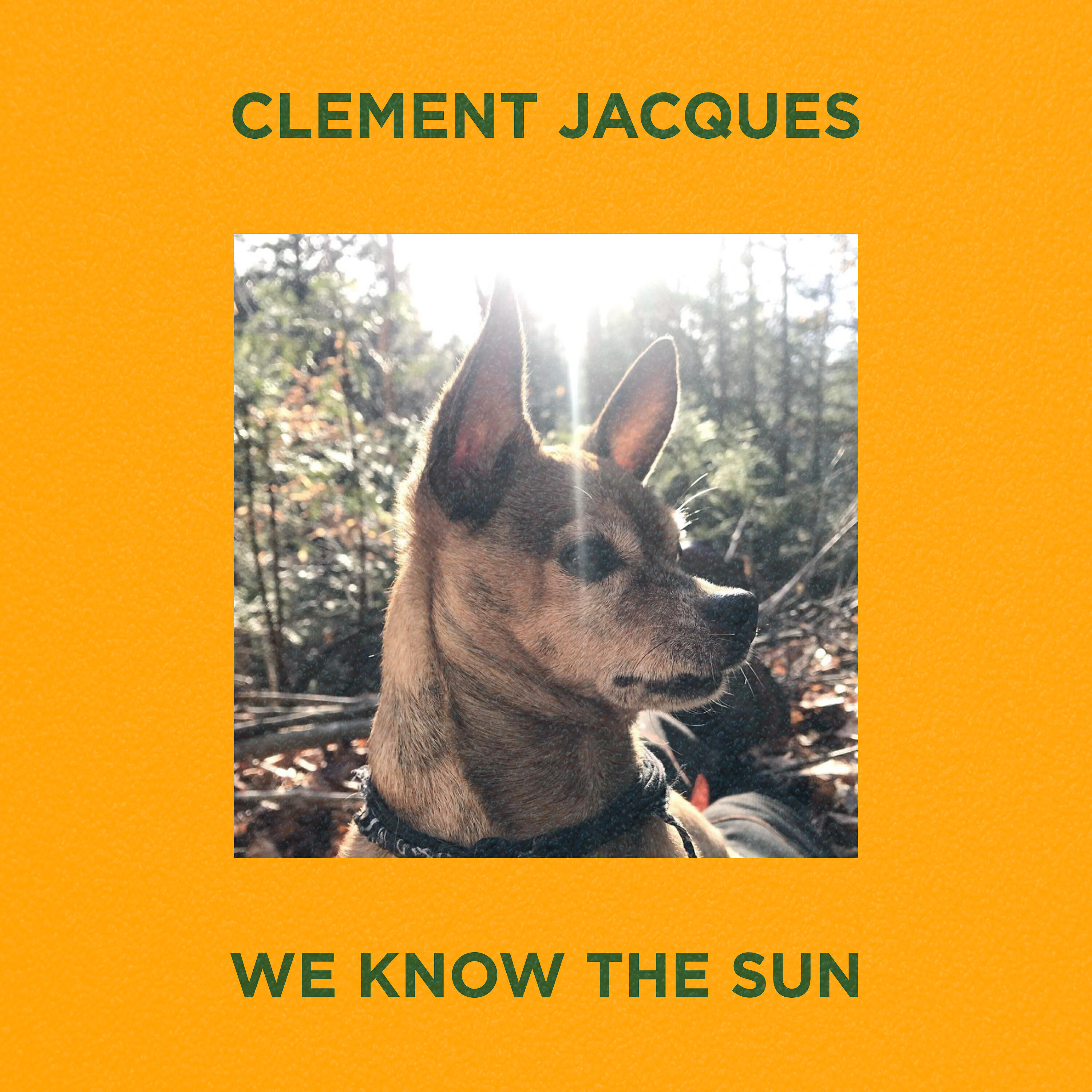 Релиз We Know the Sun