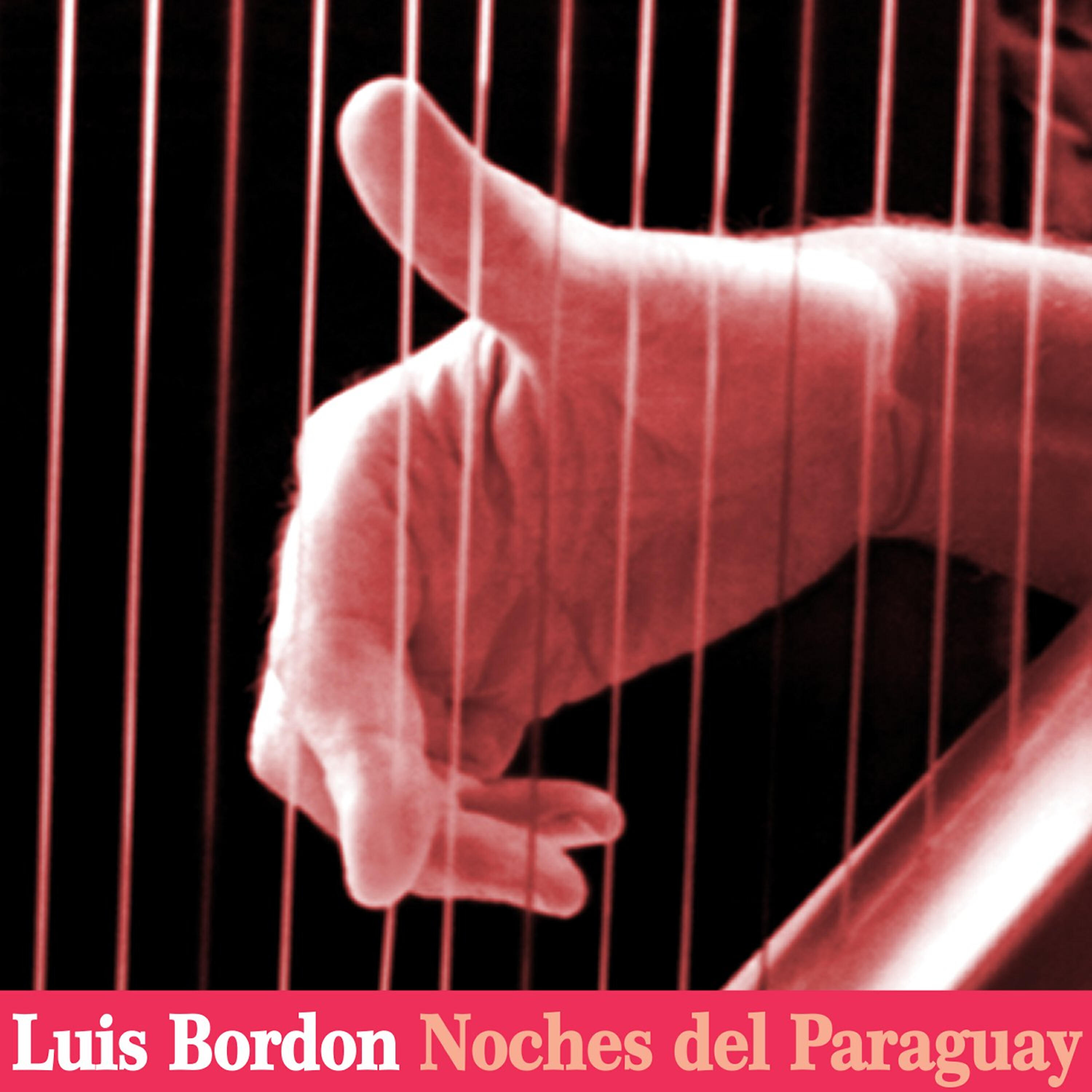 Релиз Noches del Paraguay