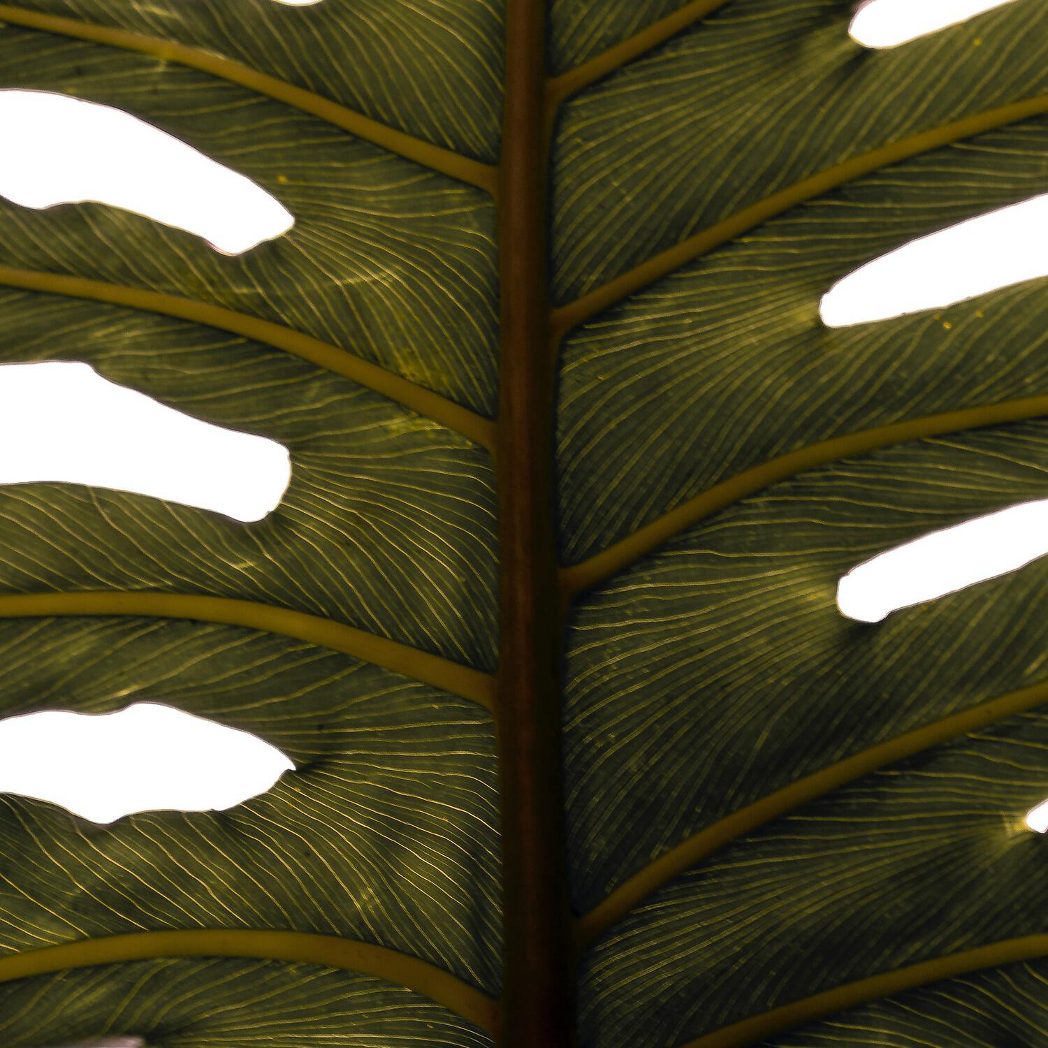 Скачать песню Plusma, Smoke Trees, Swum, Tesk - Leaf бесплатно в MP3 для Android и iOS
