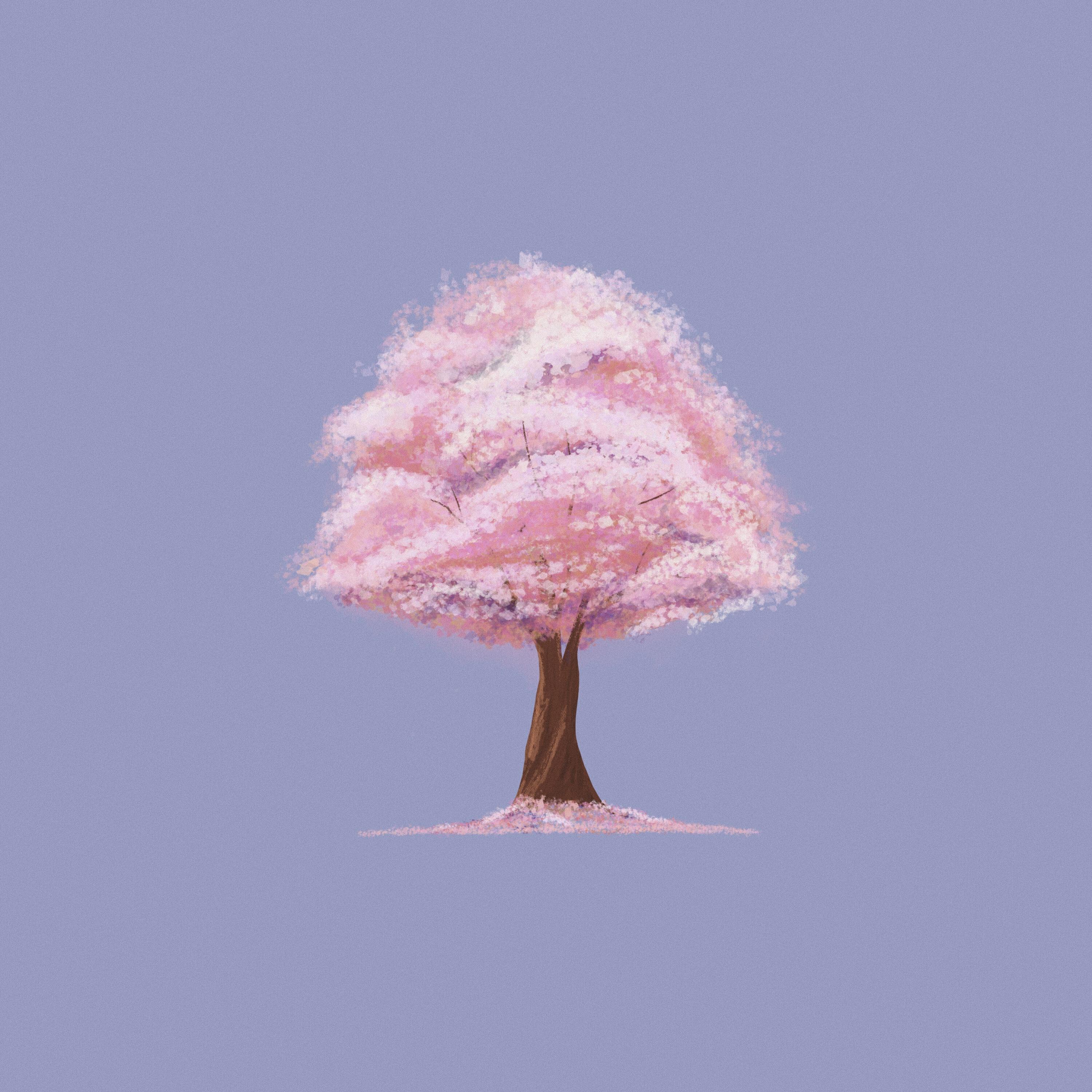Релиз Cherry Tree