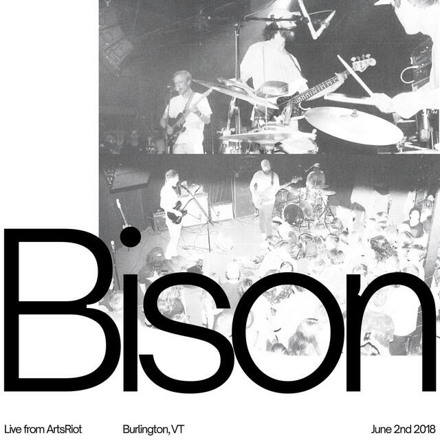 Релиз Bison Live from Arts Riot 6/2/2018