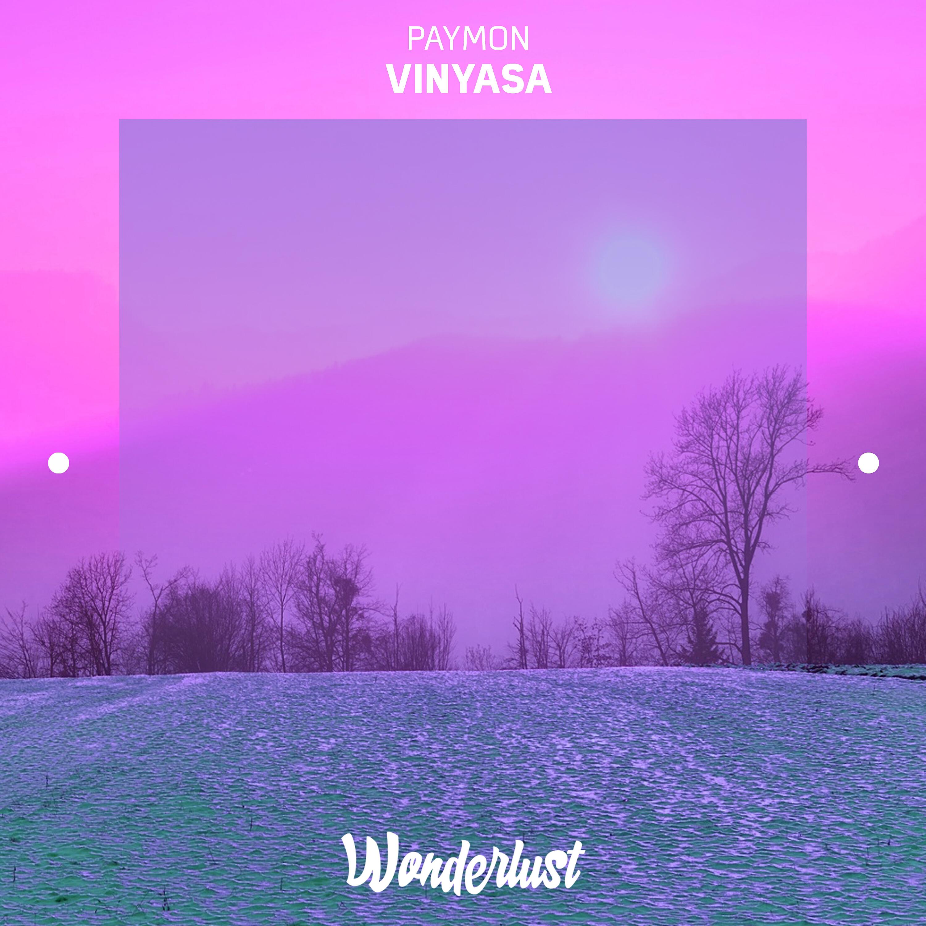 Релиз Vinyasa