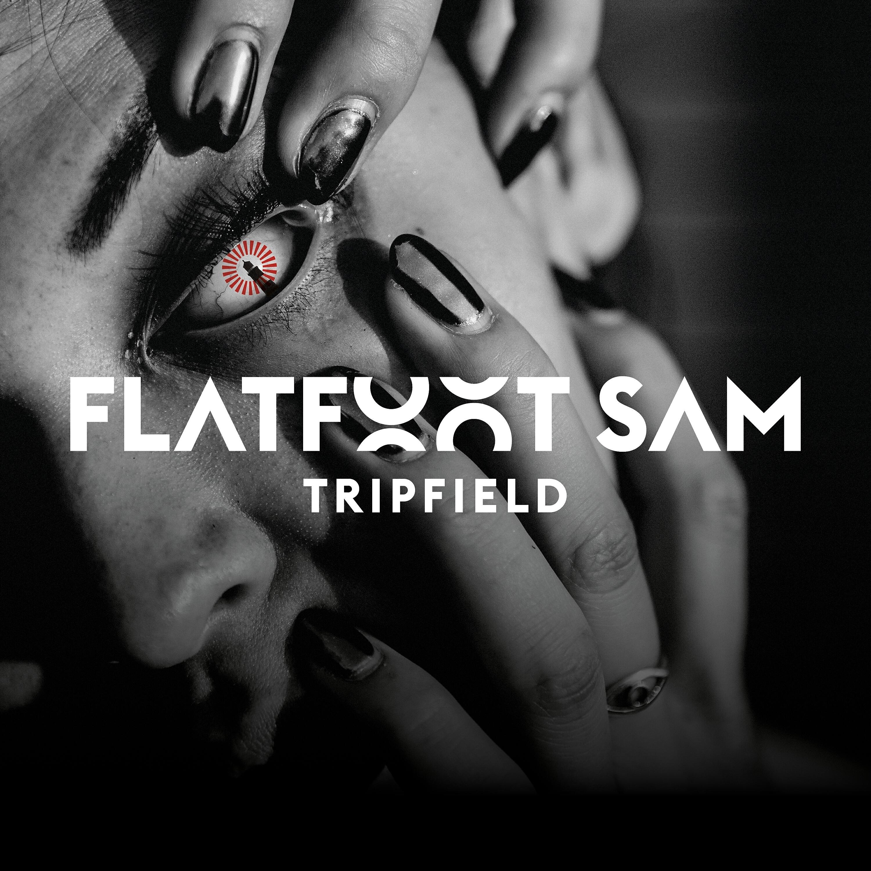 Релиз Tripfield