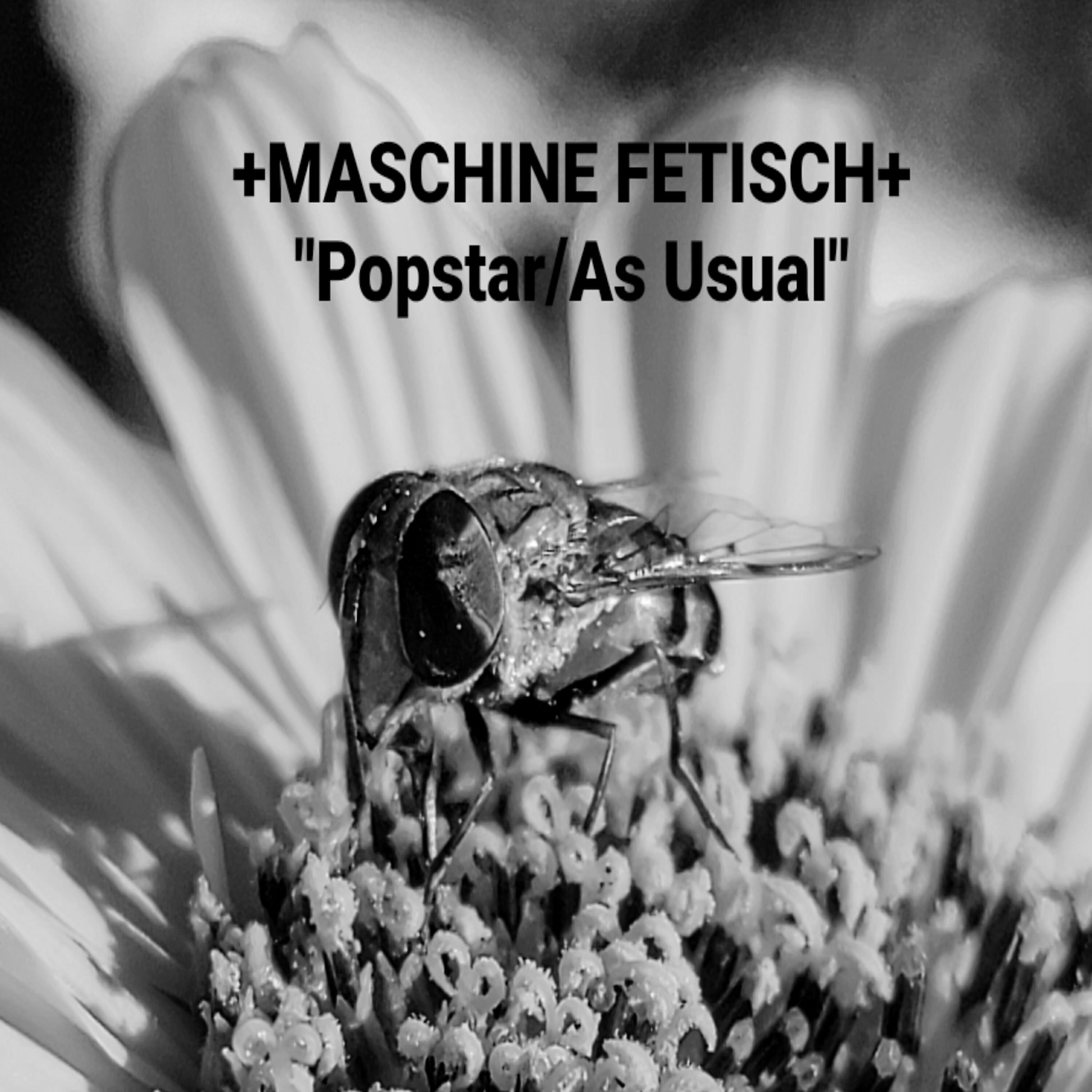 Maschine Fetisch