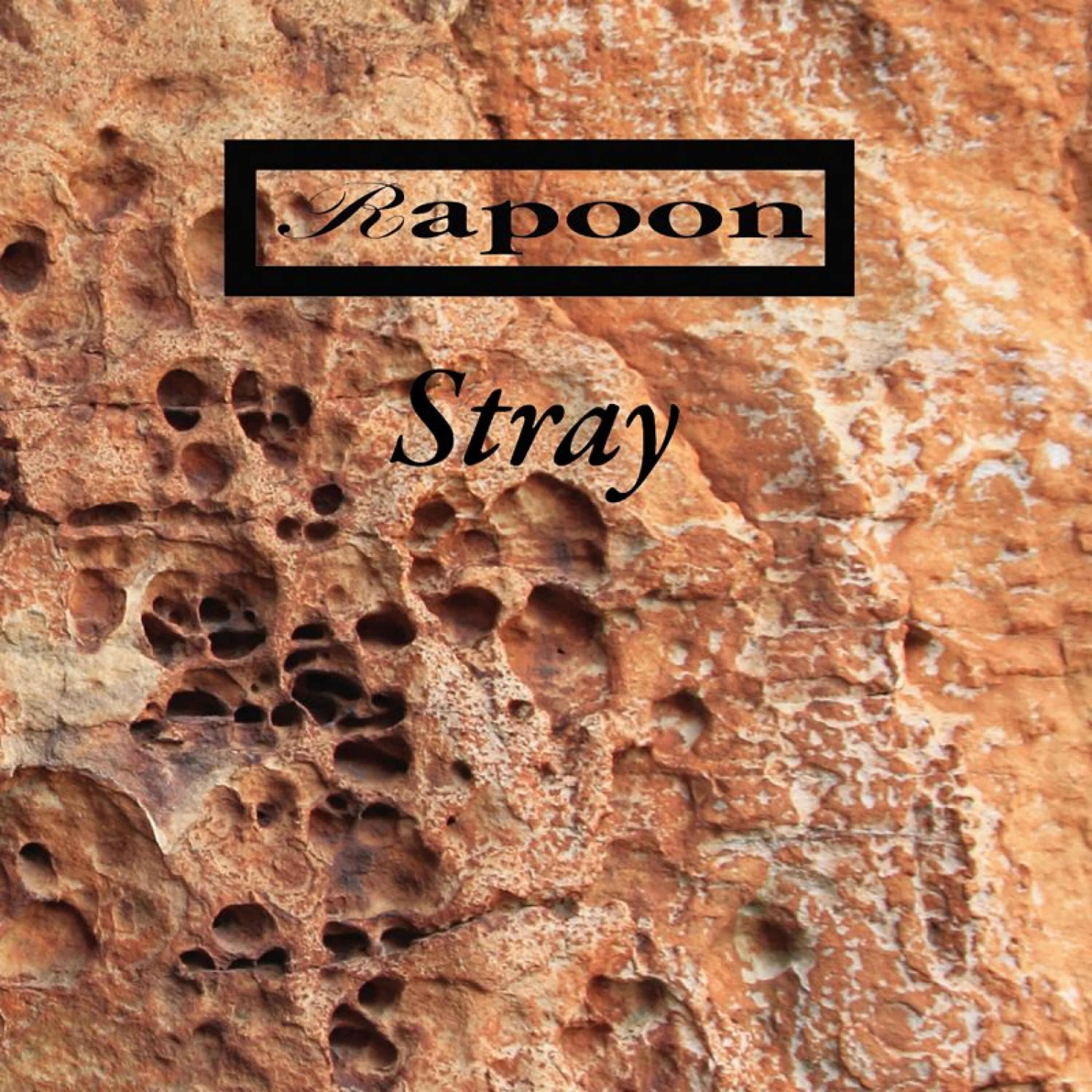 Релиз Stray