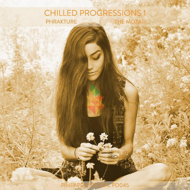 Релиз Chilled Progressions 1