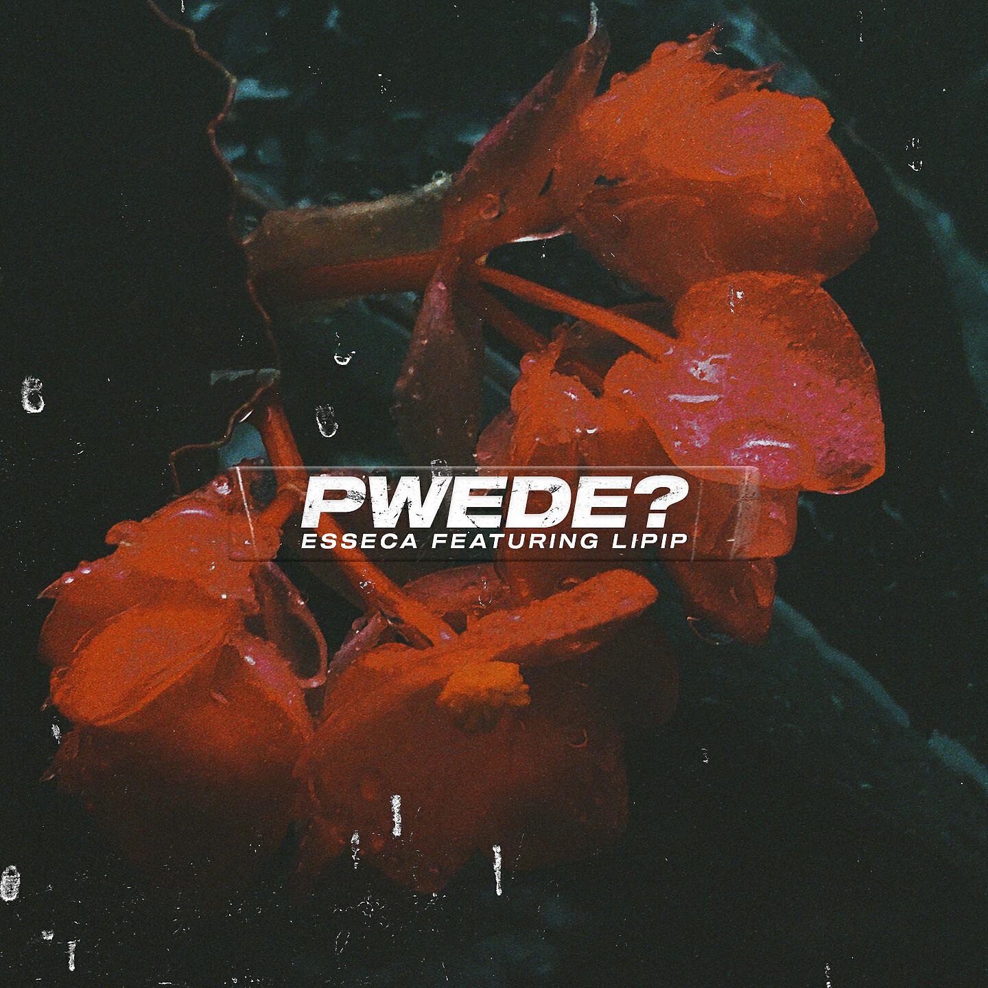 Релиз PWEDE?