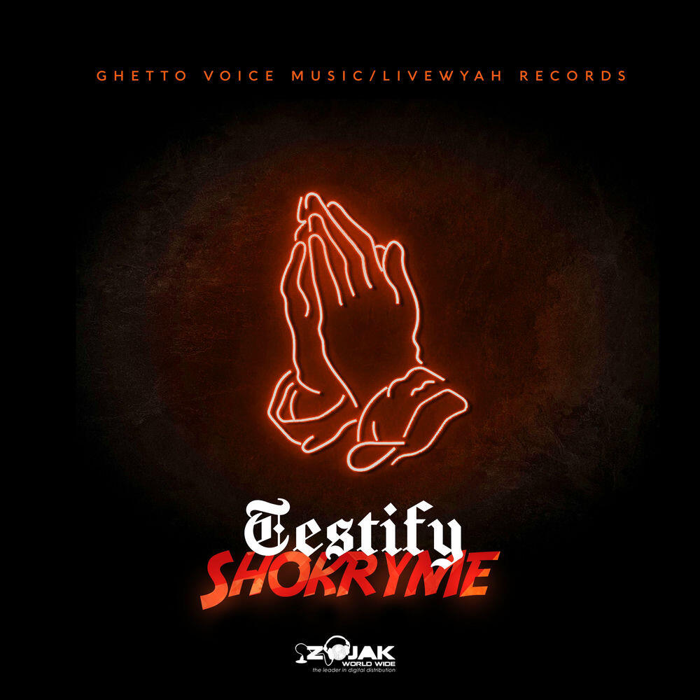 Релиз Testify