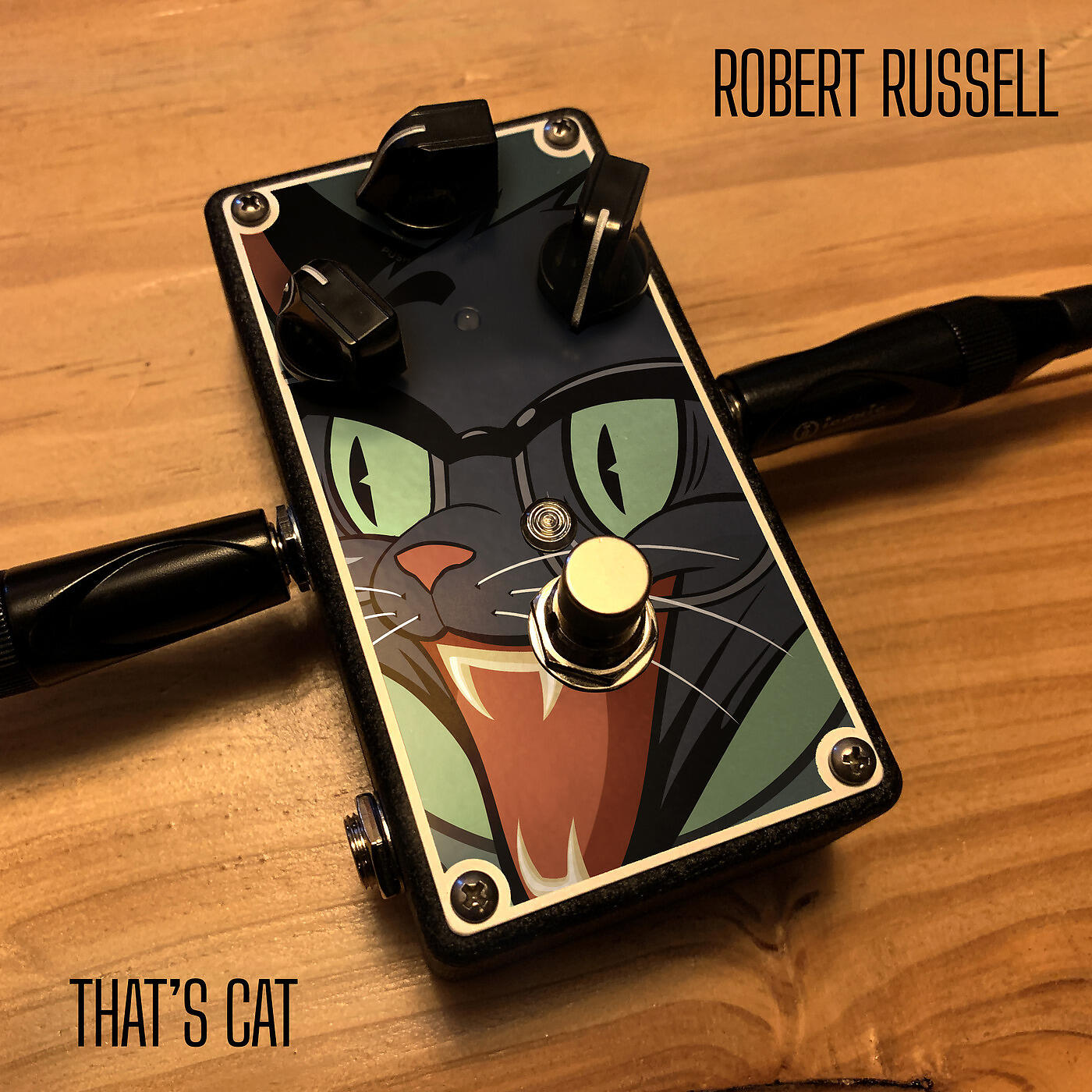 Релиз That's Cat