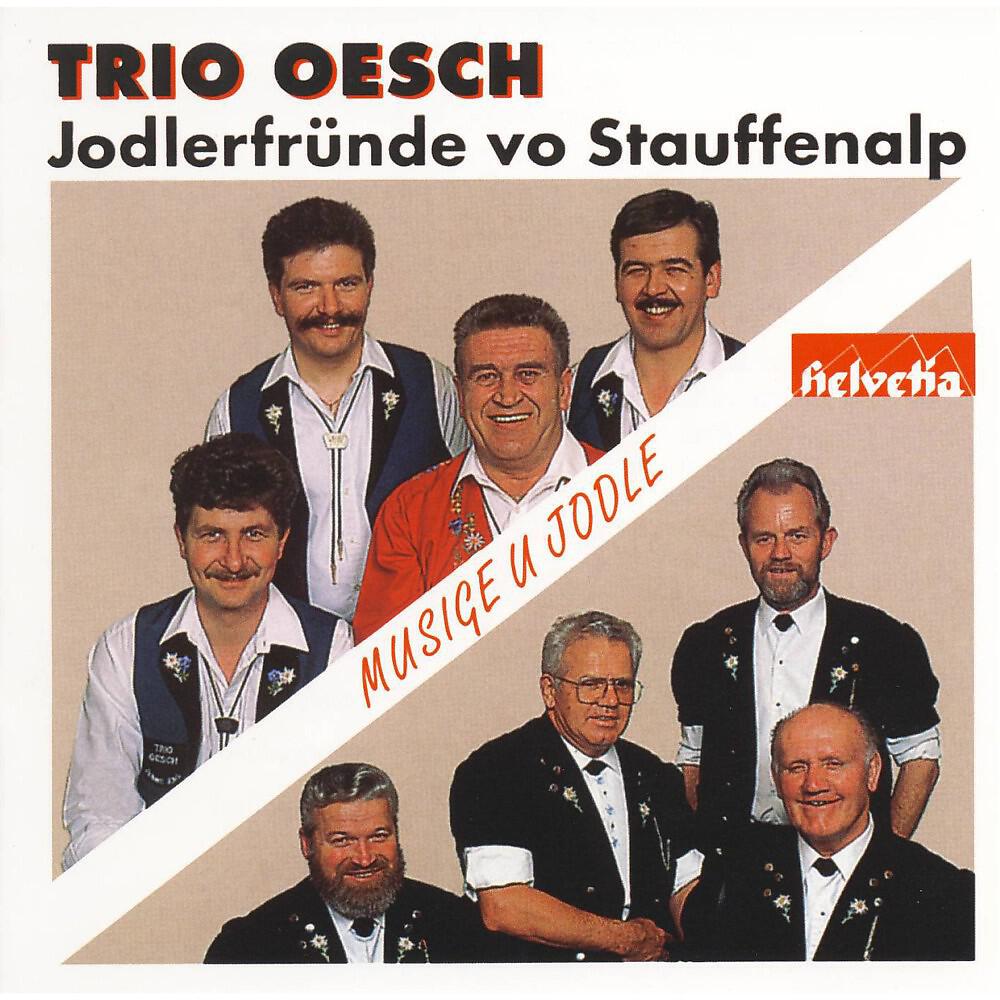 Релиз Musig u Jodle
