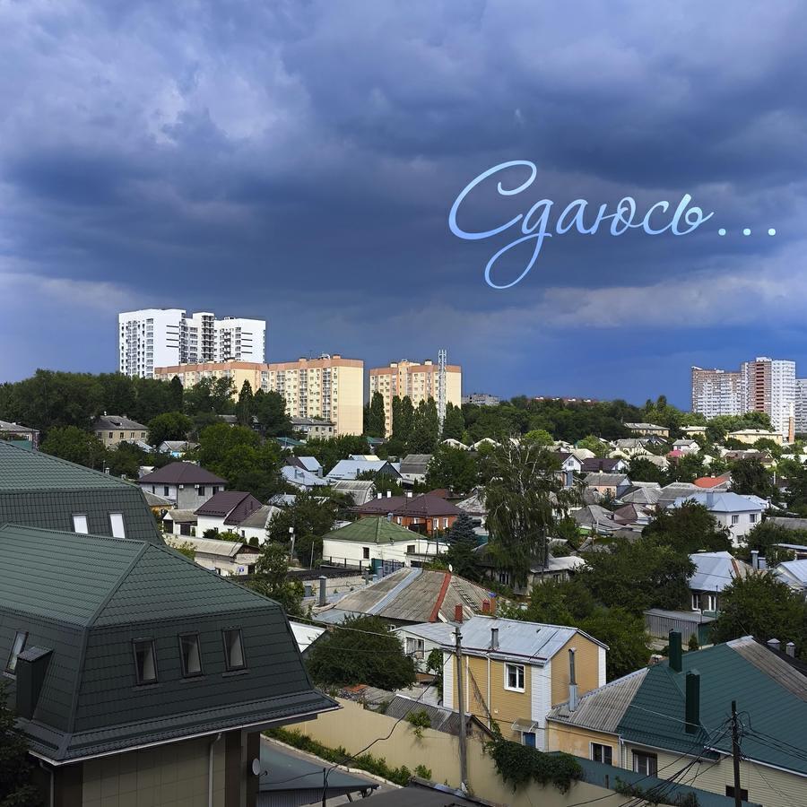 Barbarisova
