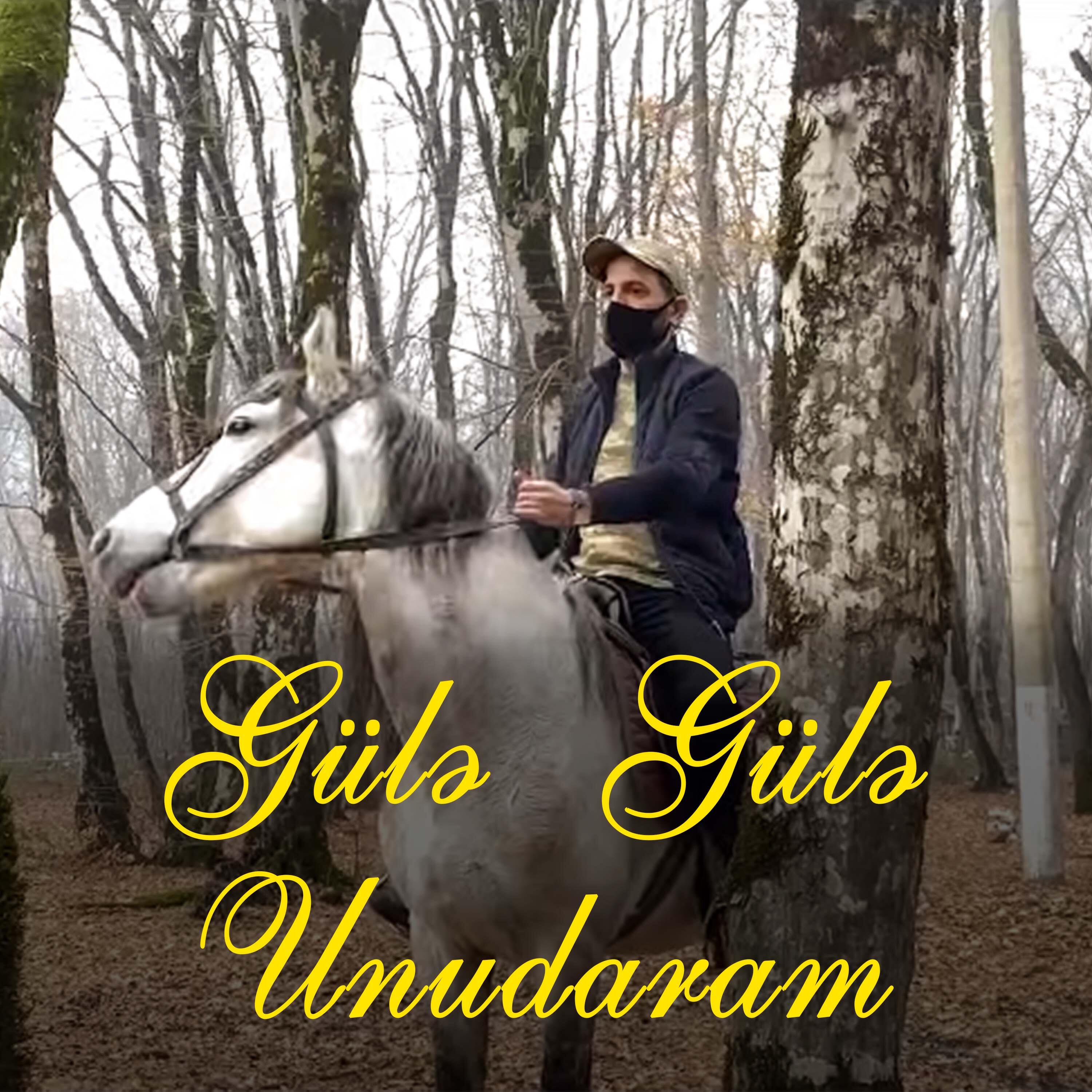 Постер альбома Gülə Gülə Unudaram