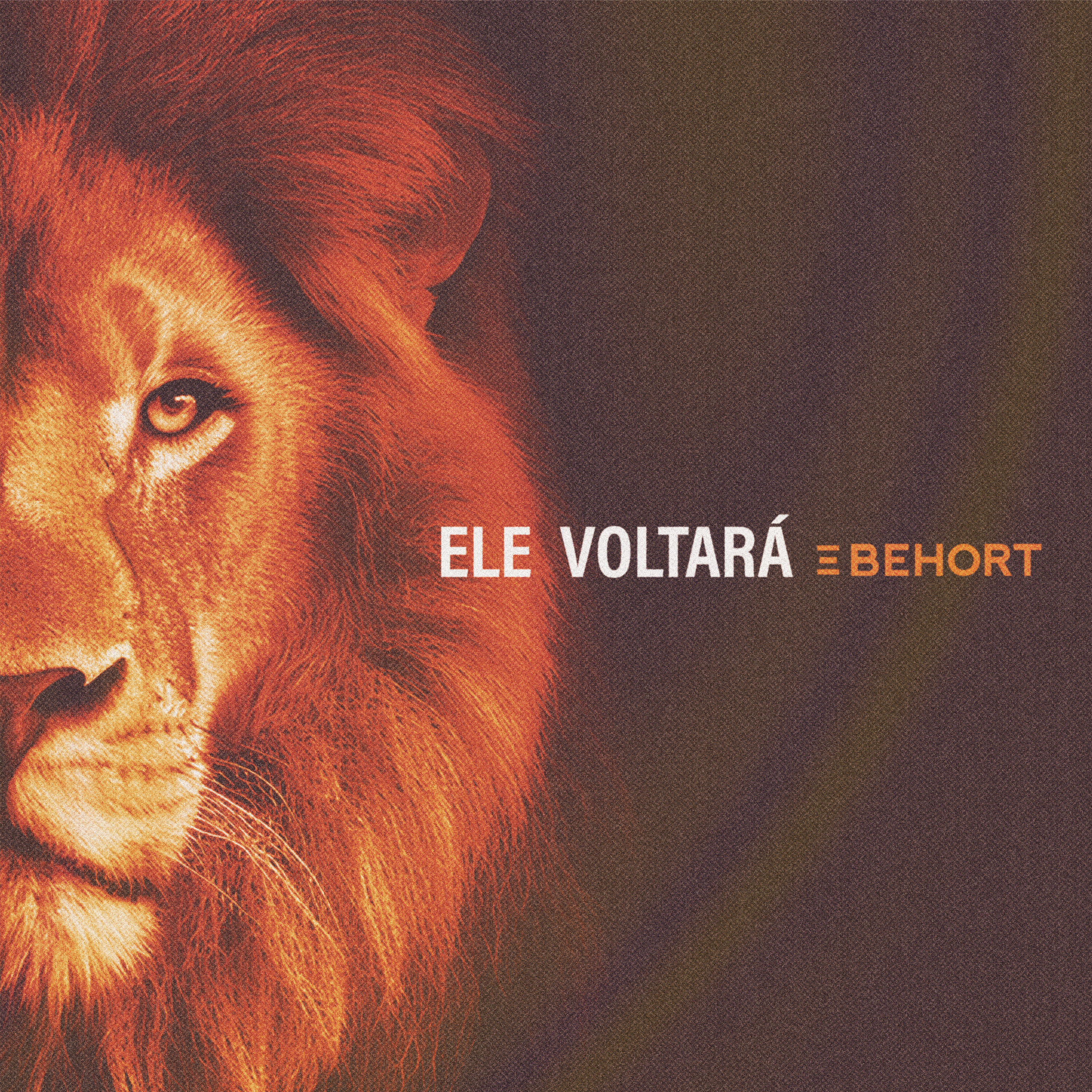 Релиз Ele Voltará
