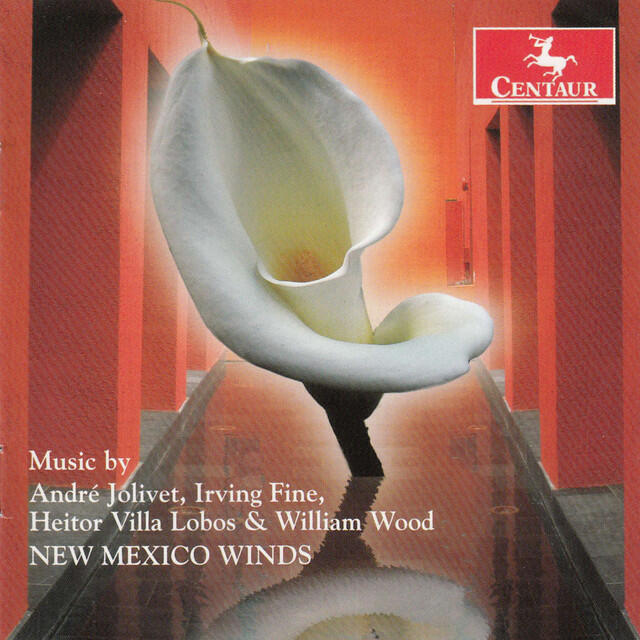 New Mexico Winds