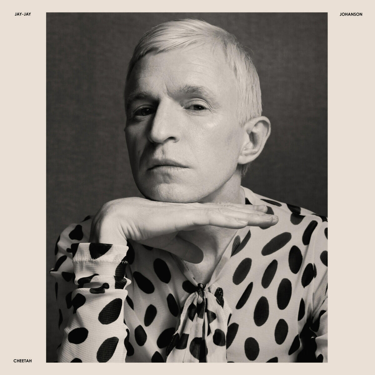 Релиз Cheetah