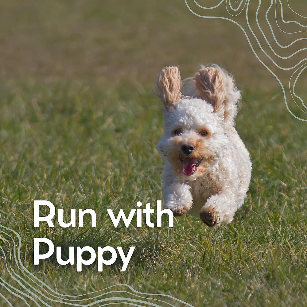 Релиз Run with Puppy