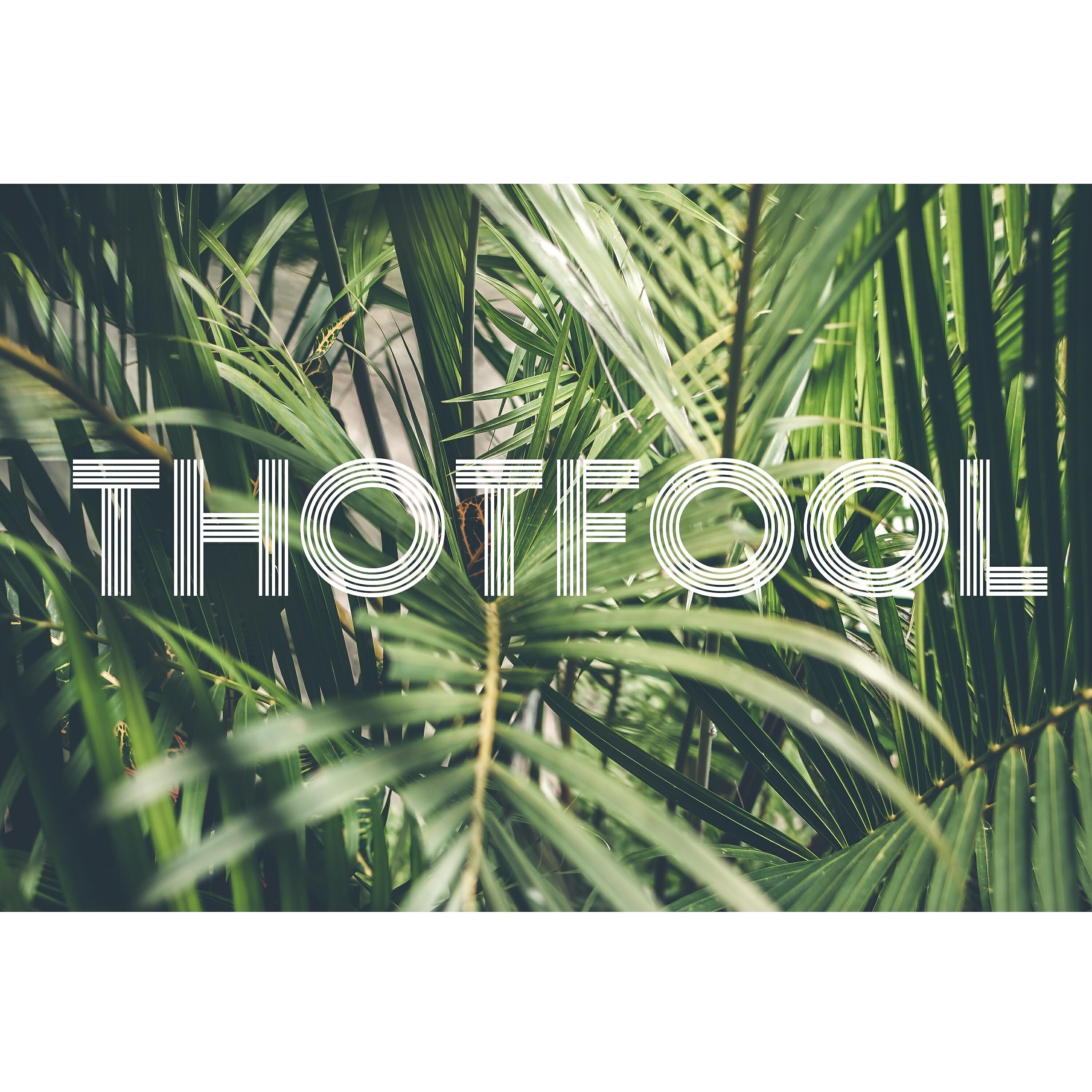 Релиз Thotfool