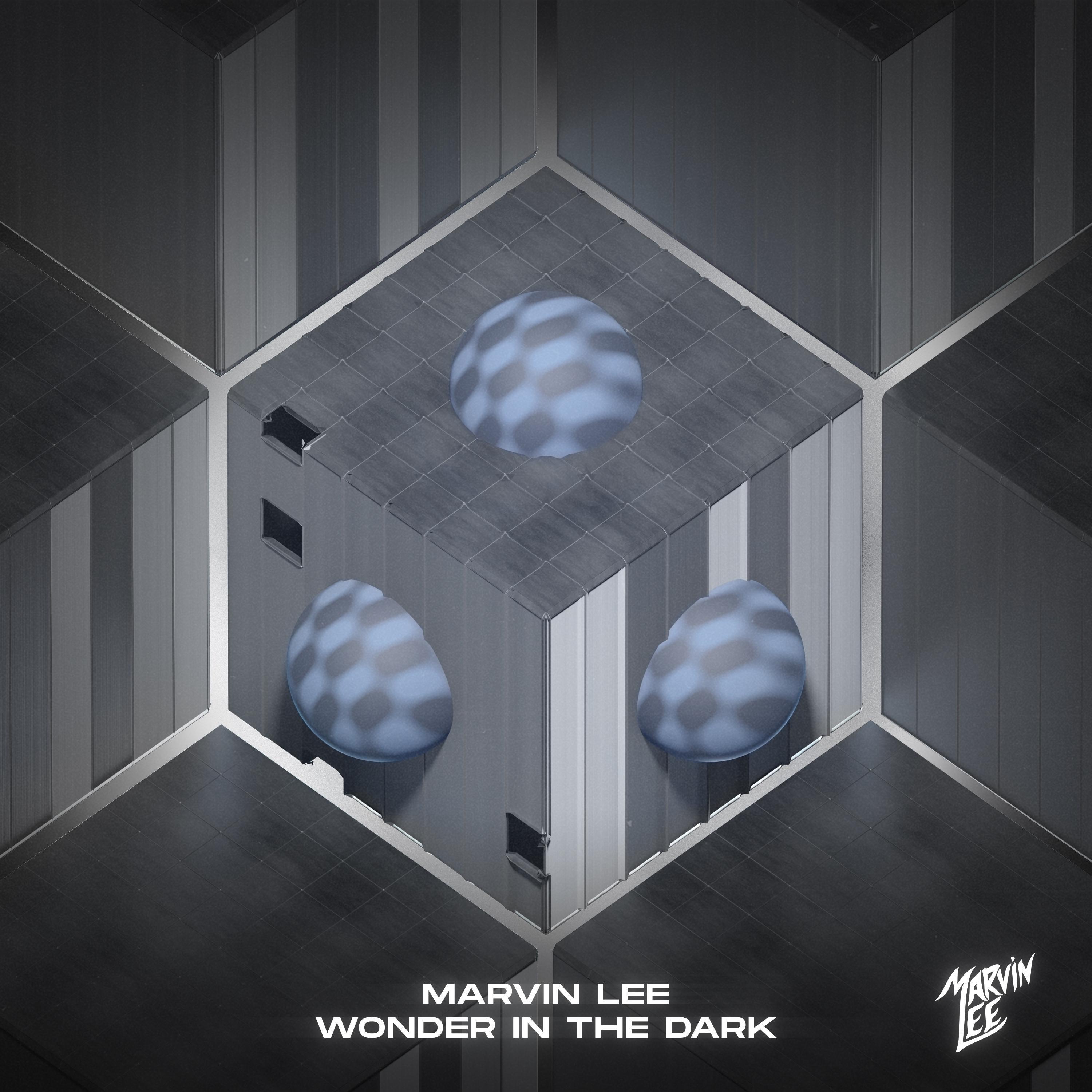 Релиз Wonder In The Dark