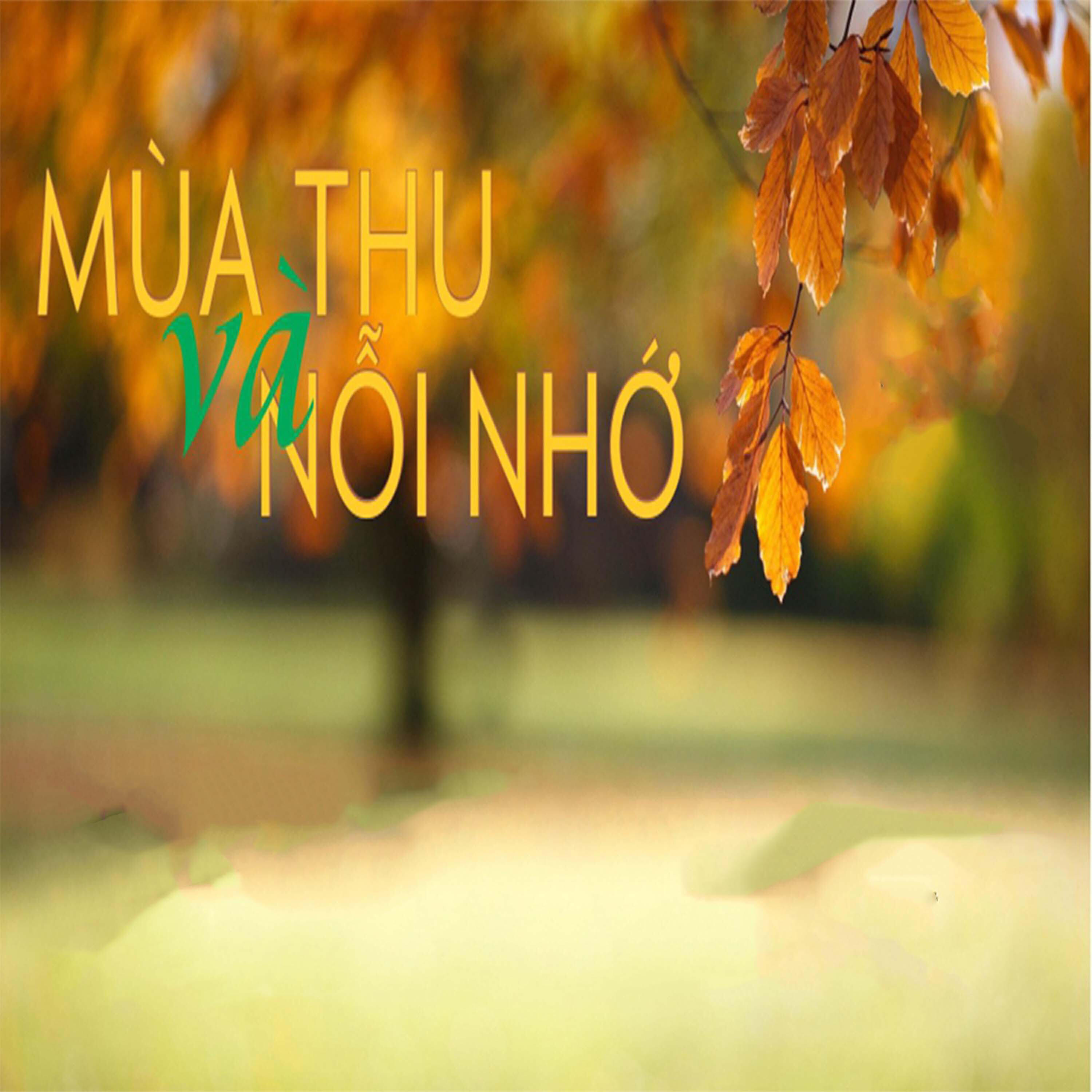 Релиз Mùa Thu Và Nỗi Nhớ