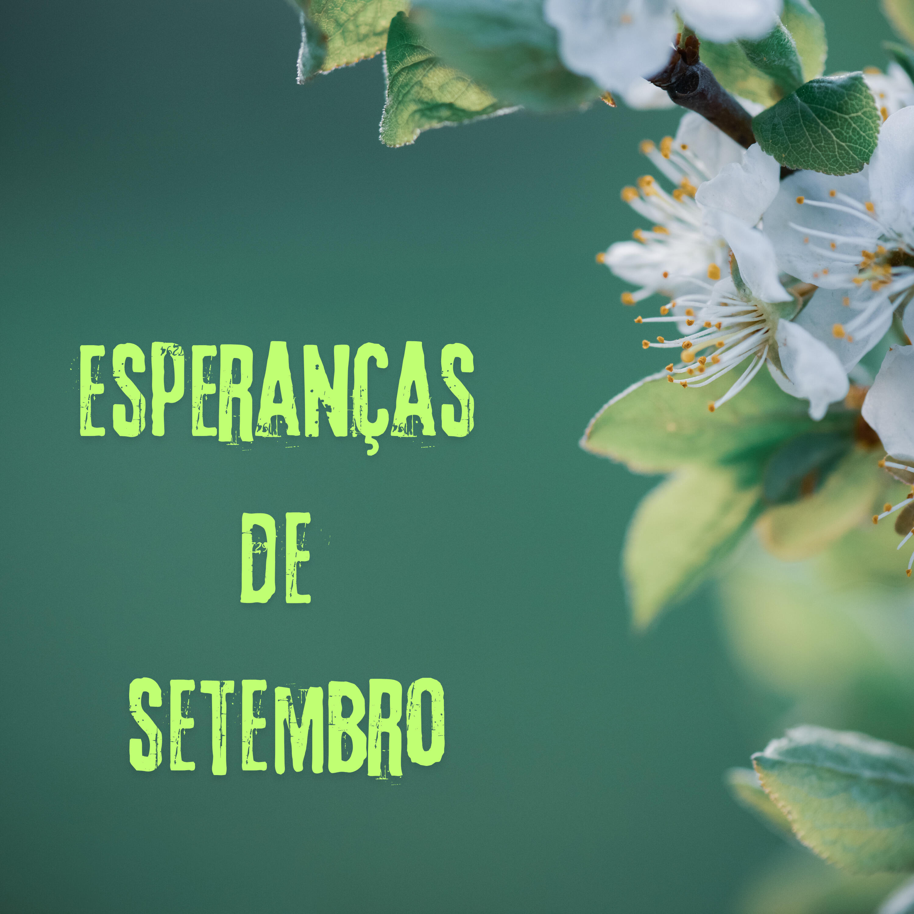 Релиз Esperanças de Setembro