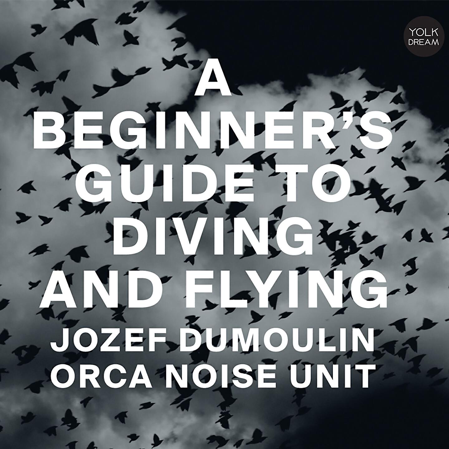 Релиз A Beginner's Guide to Diving and Flying