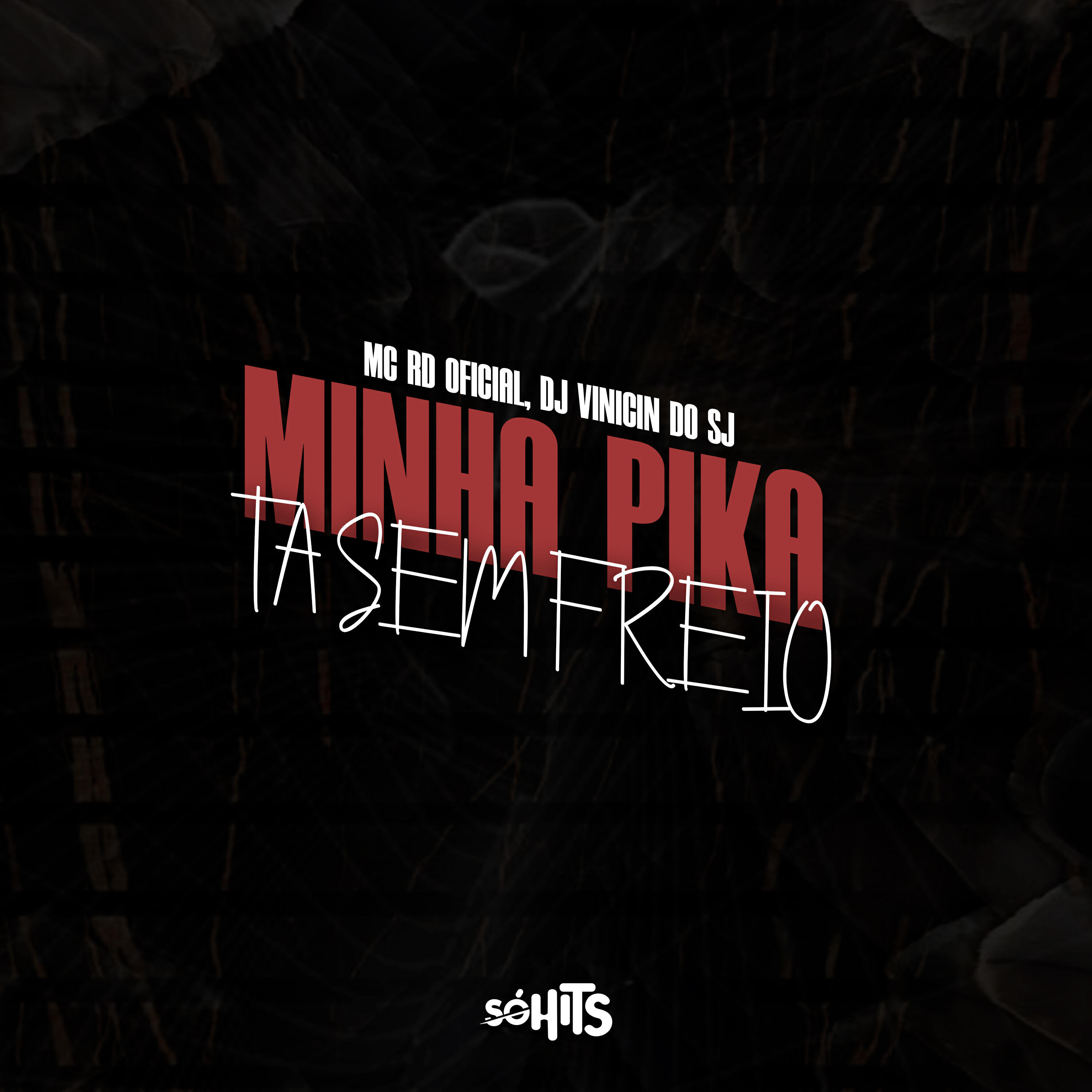 Релиз Minha Pika Tá Sem Freio