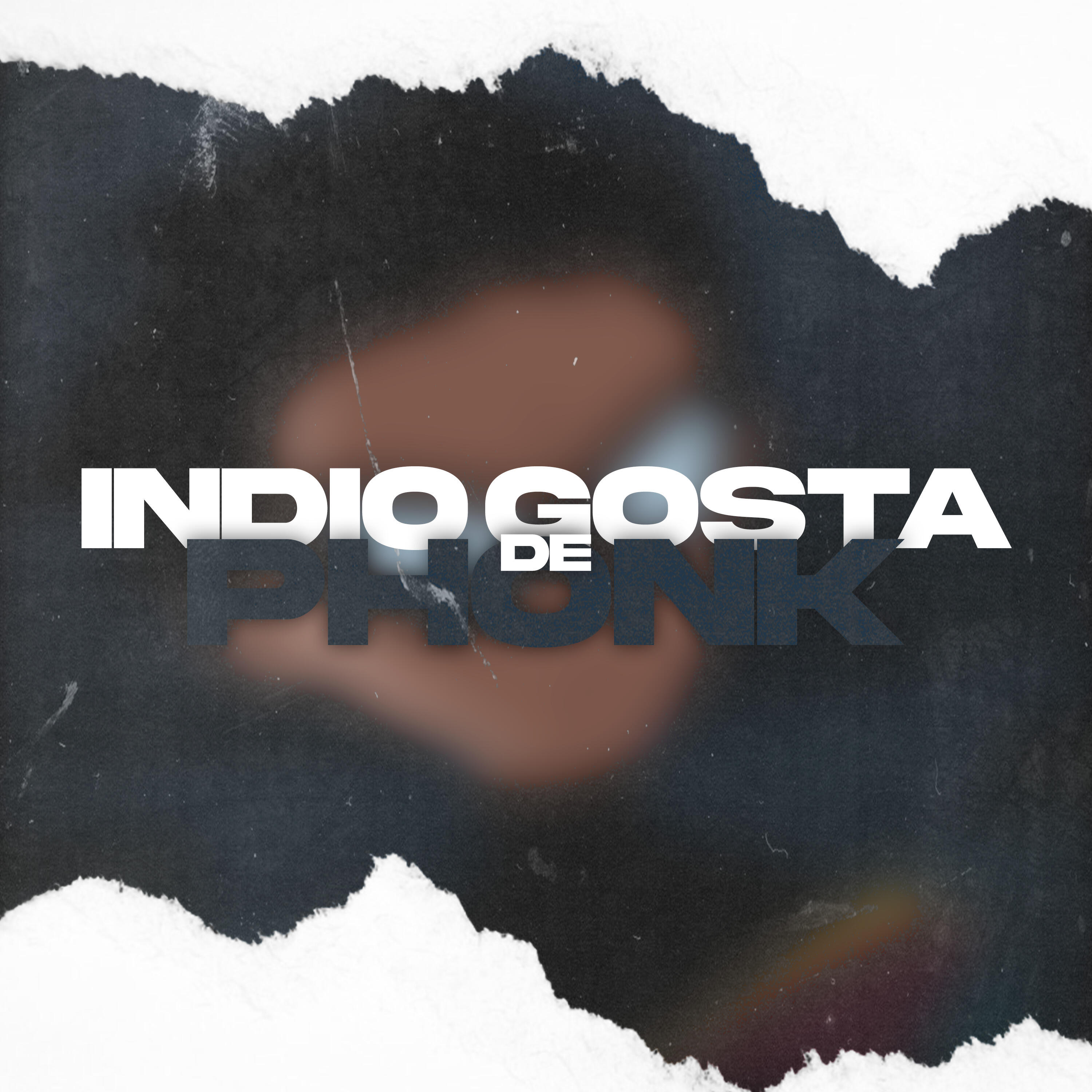 Скачать песню DJ ISR4EL BEATS - Índio Gosta de Phonk бесплатно в MP3 для Android и iOS