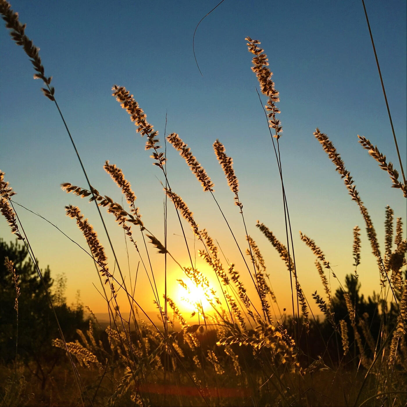 Релиз Arise and Shine (Ephesians 5:8-20, Isaiah 60:1)