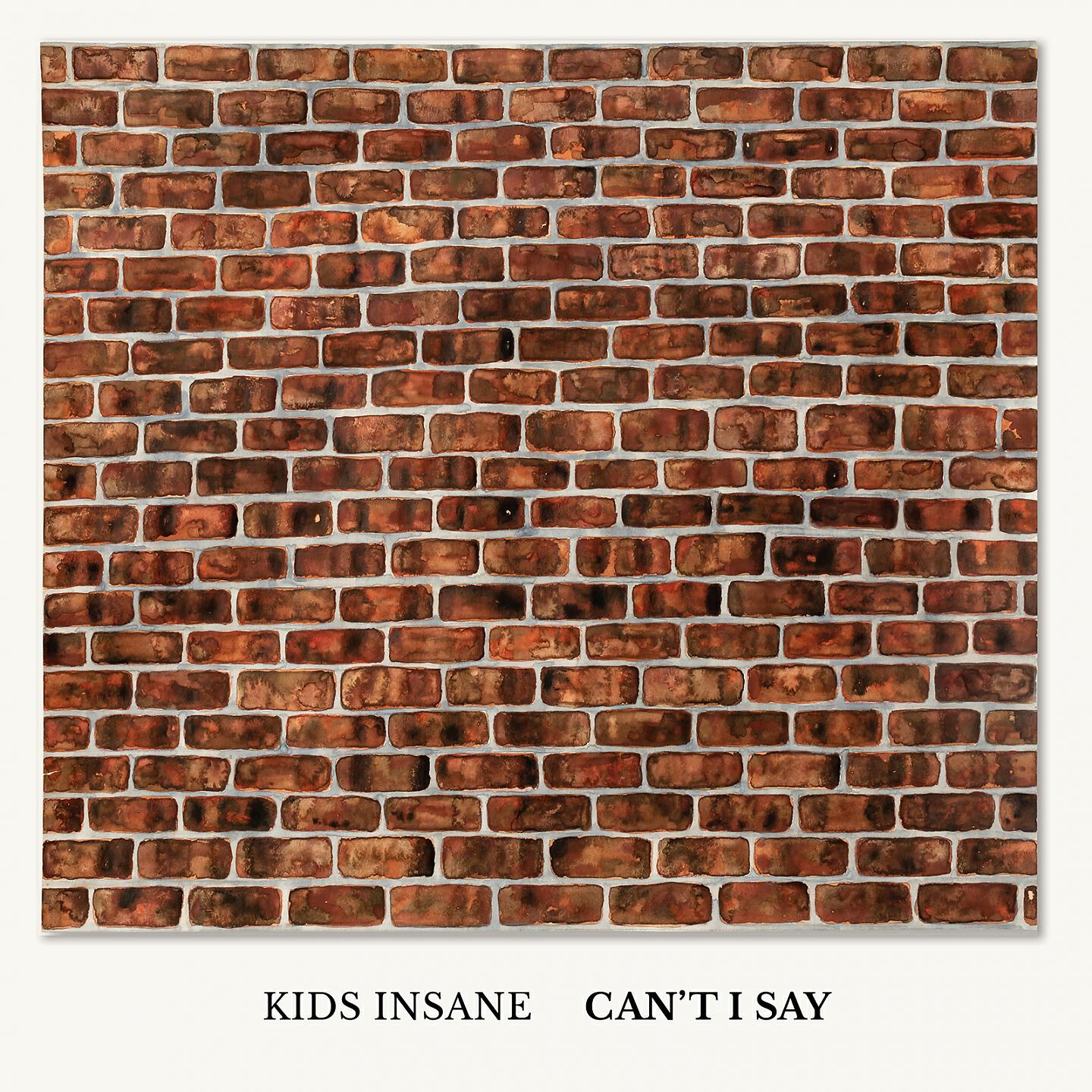 Релиз Can't I Say