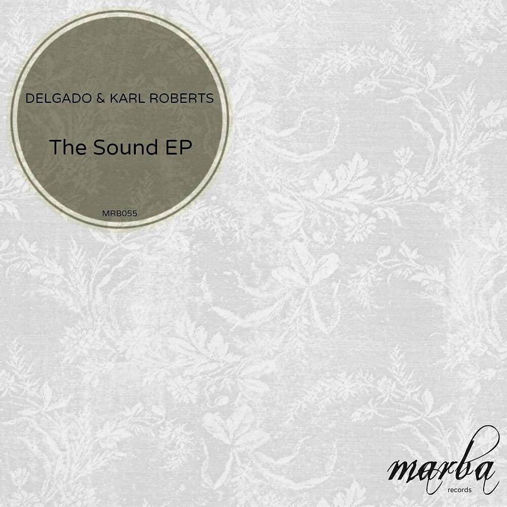 Скачать песню Delgado, Karl Roberts - The Sound Of Now бесплатно в MP3 для Android и iOS