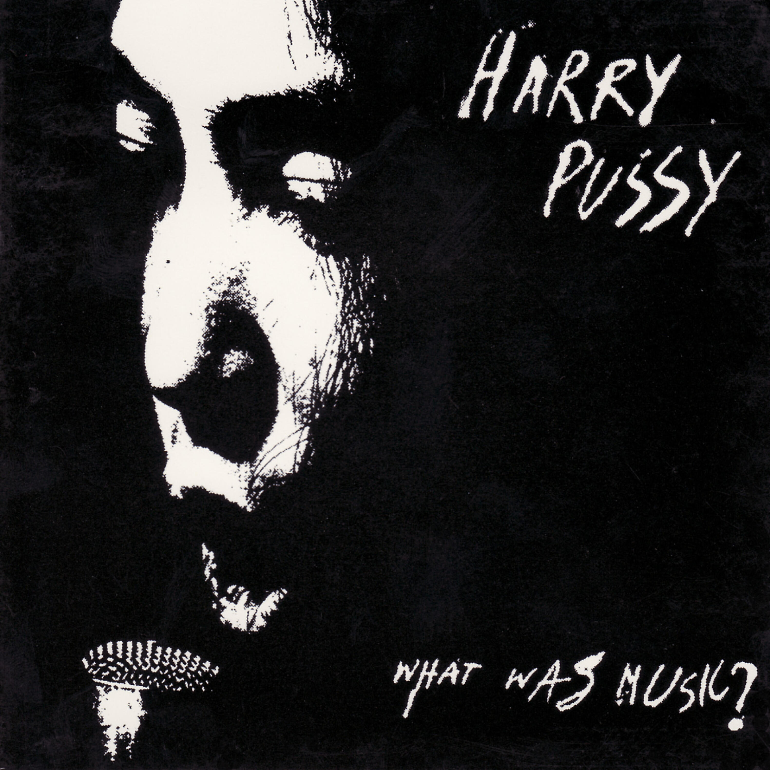 Релиз What Was Music?