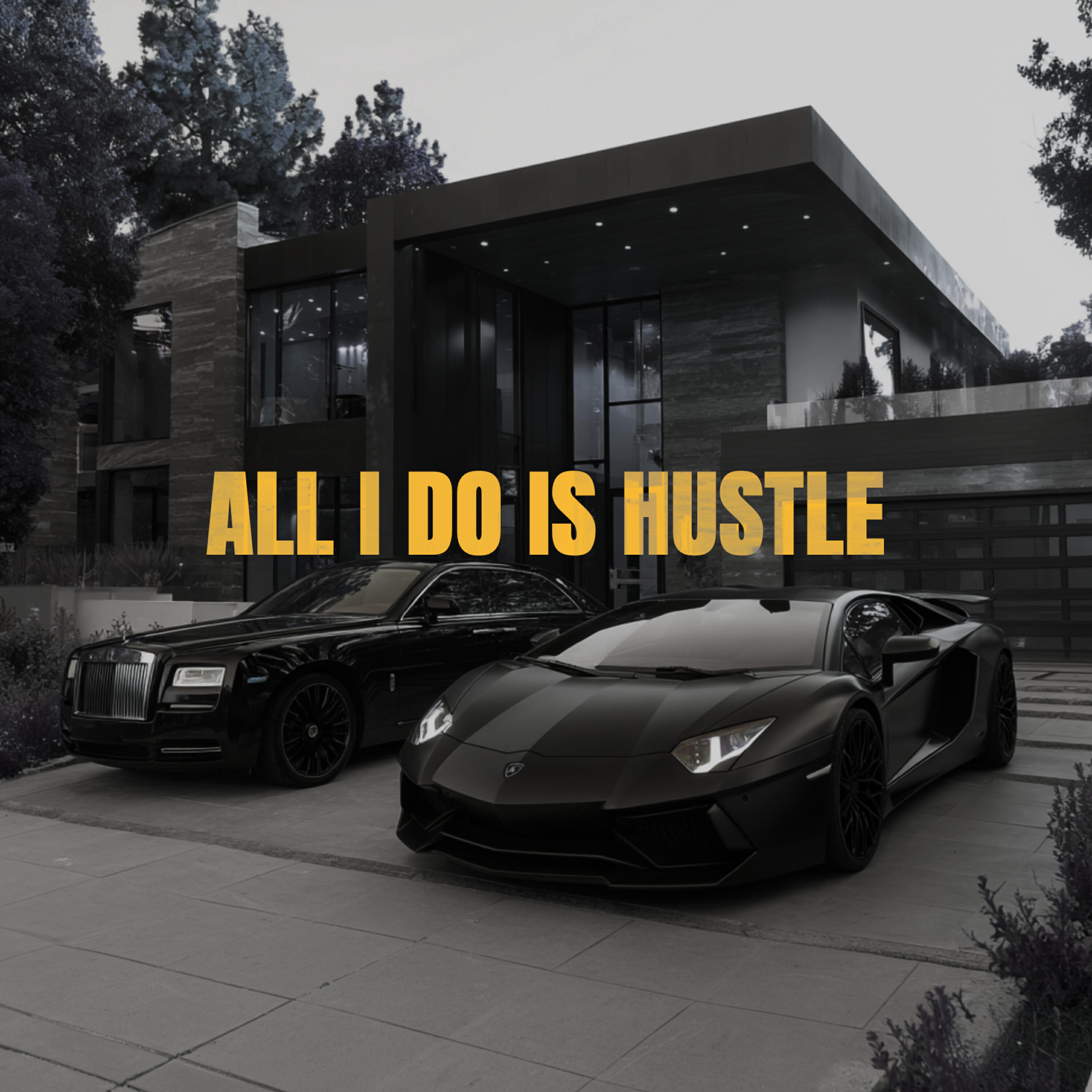 Релиз All I Do Is Hustle