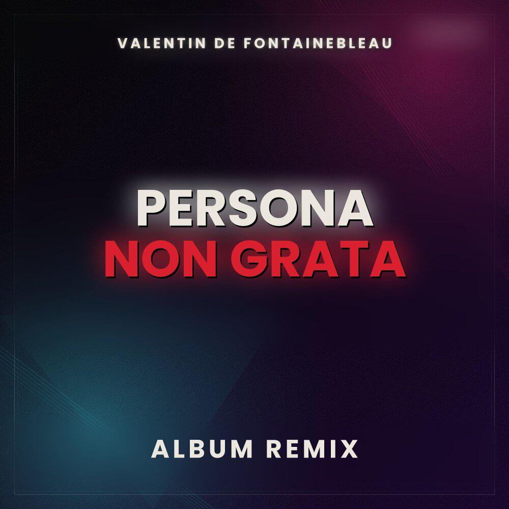 Релиз PERSONA NON GRATA (ALBUM REMIX)