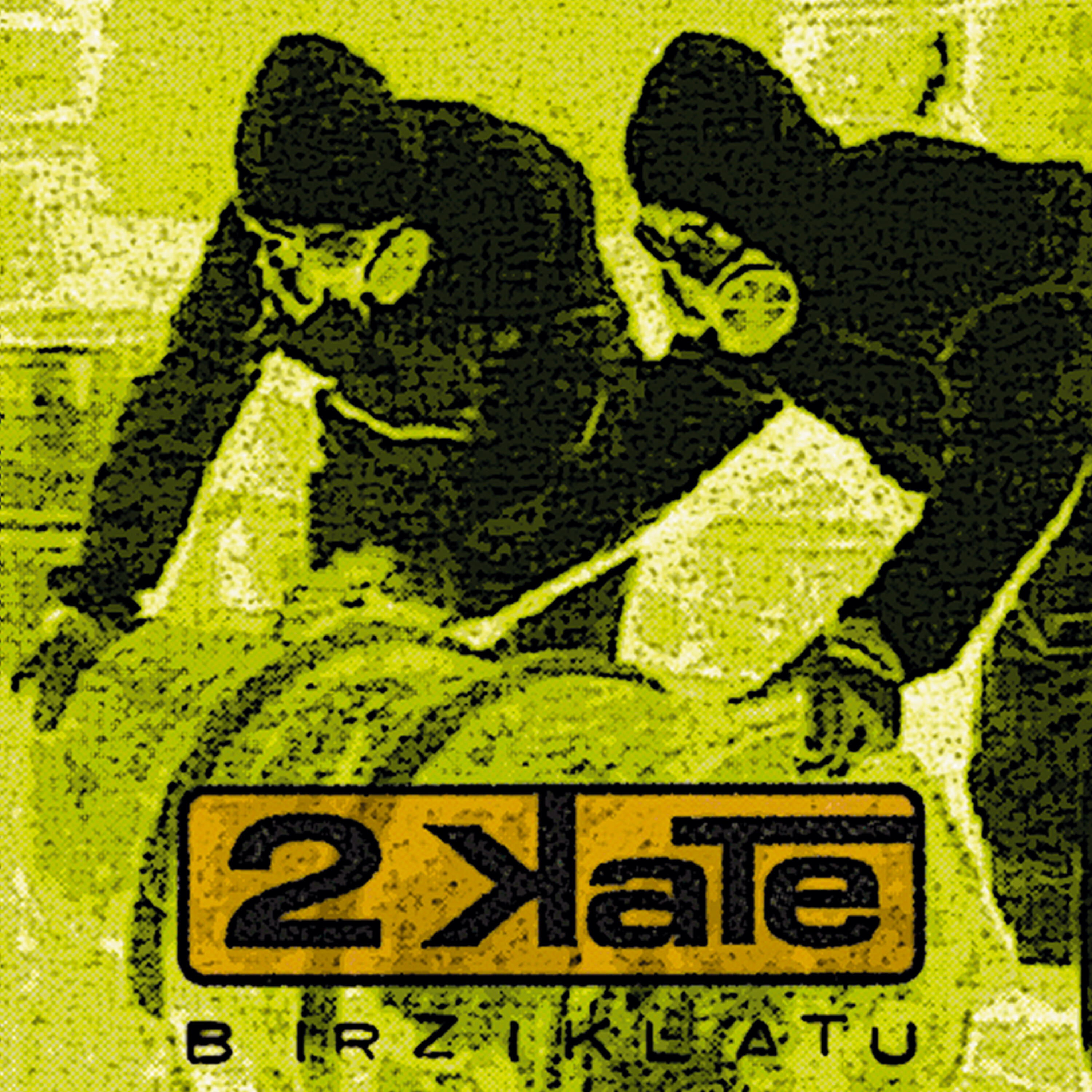 Релиз Birziklatu