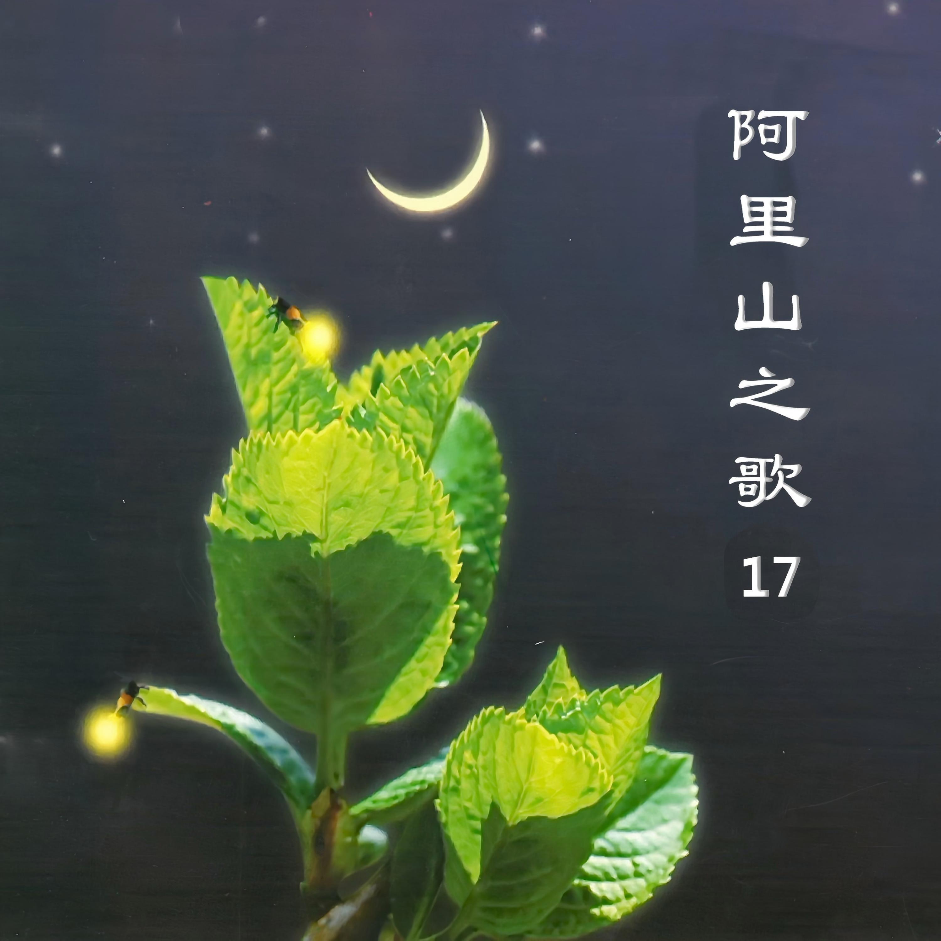 Релиз 阿里山之歌 17