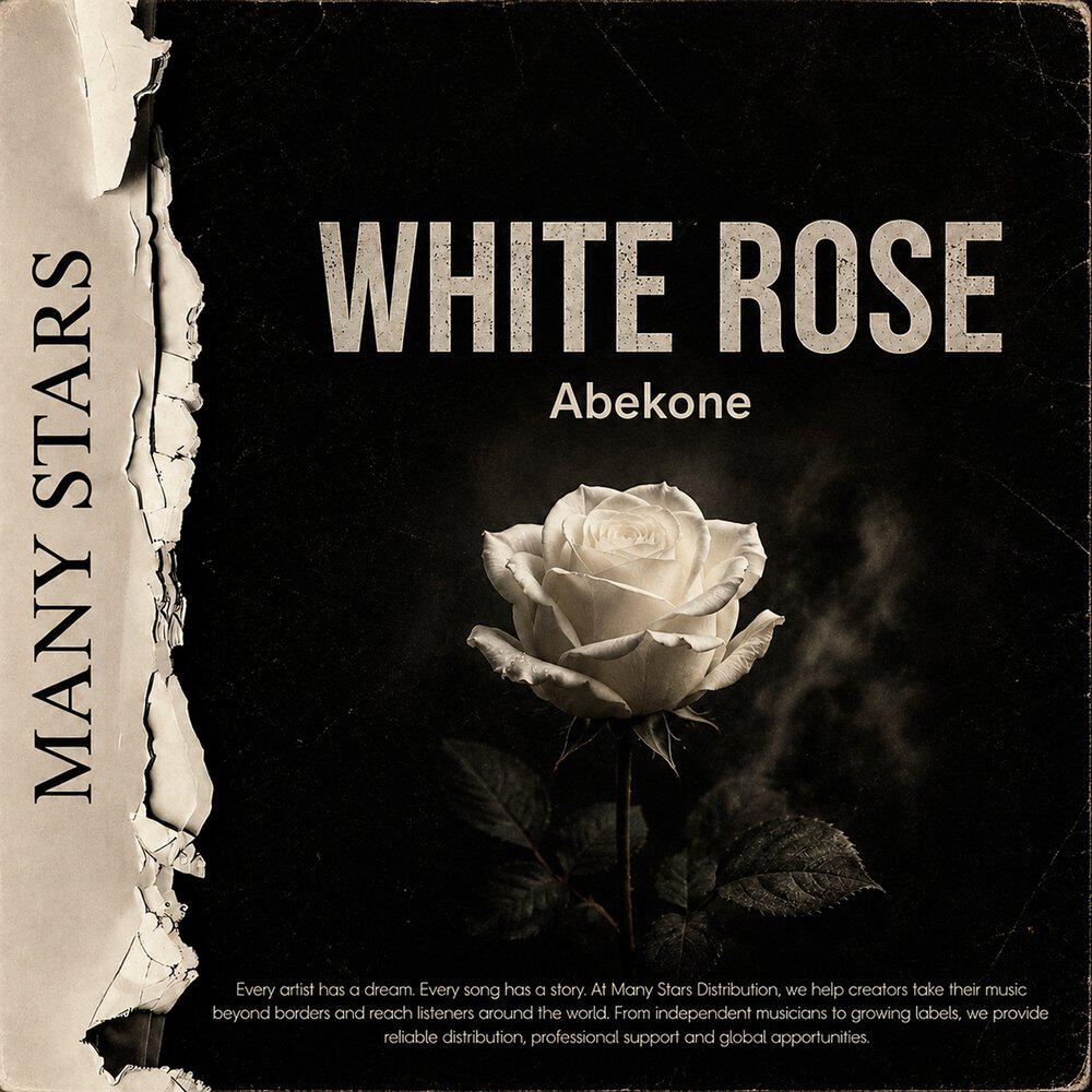 Релиз White Rose