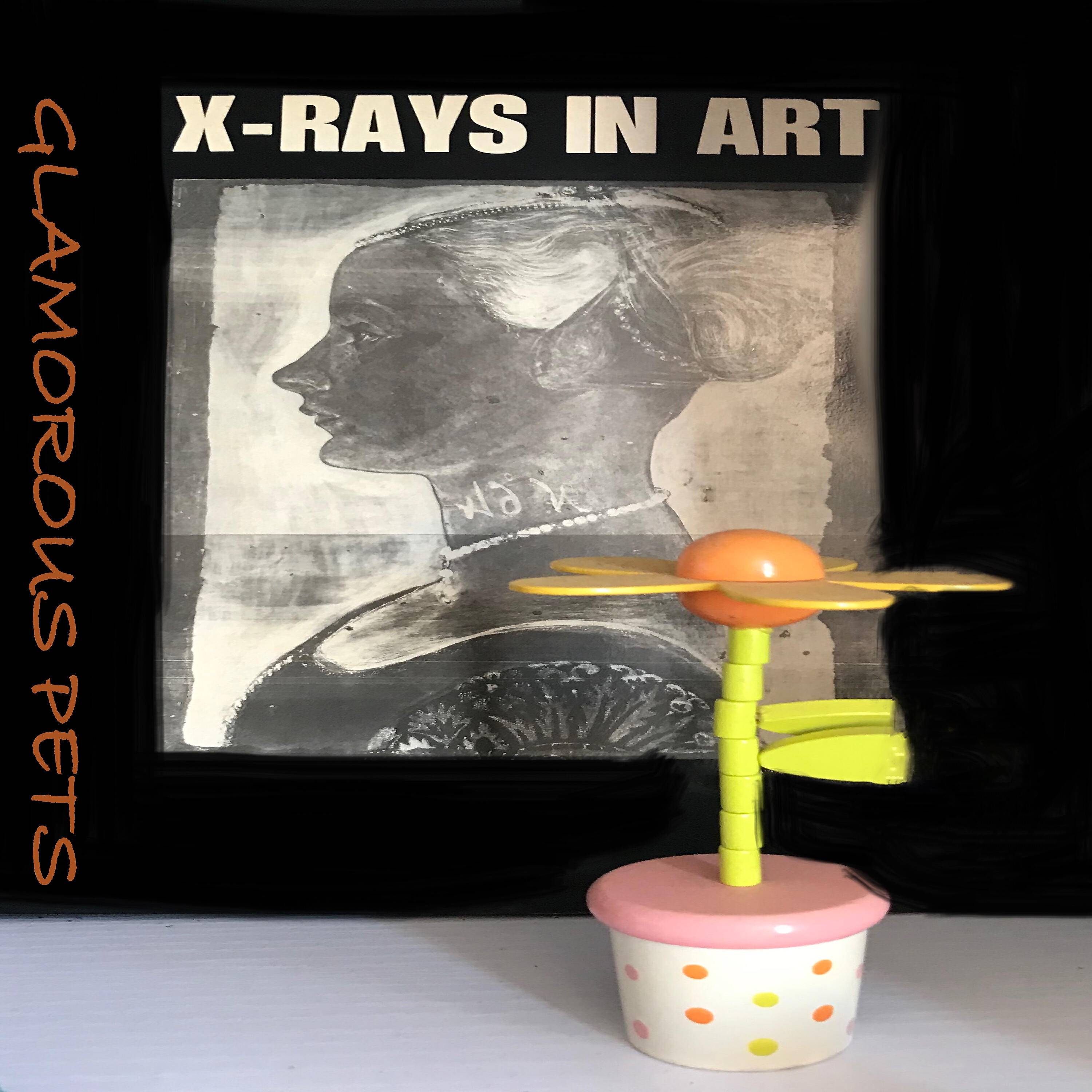 Релиз X-Rays In Art