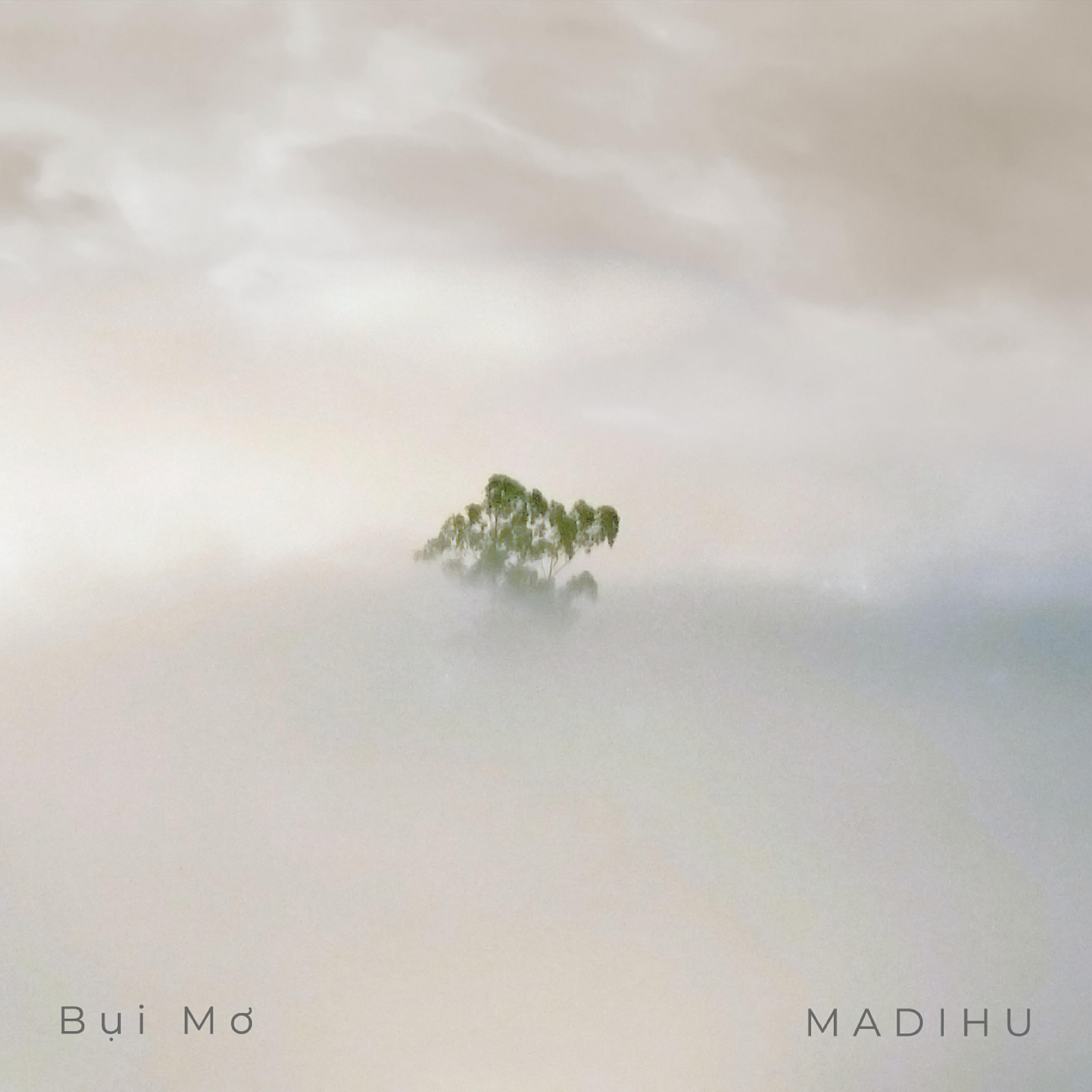 Релиз Bụi Mơ